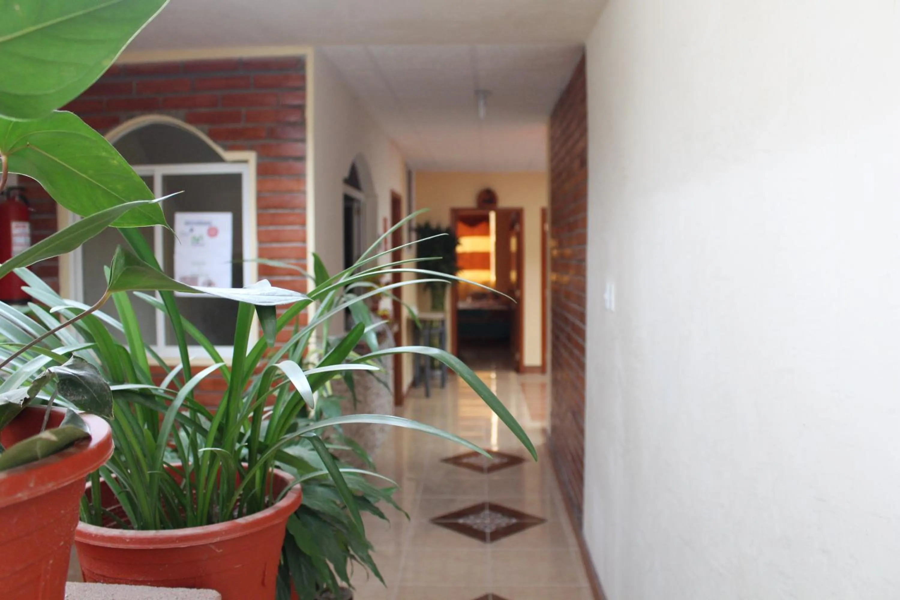 Property building in Hotel Flor Del Campo