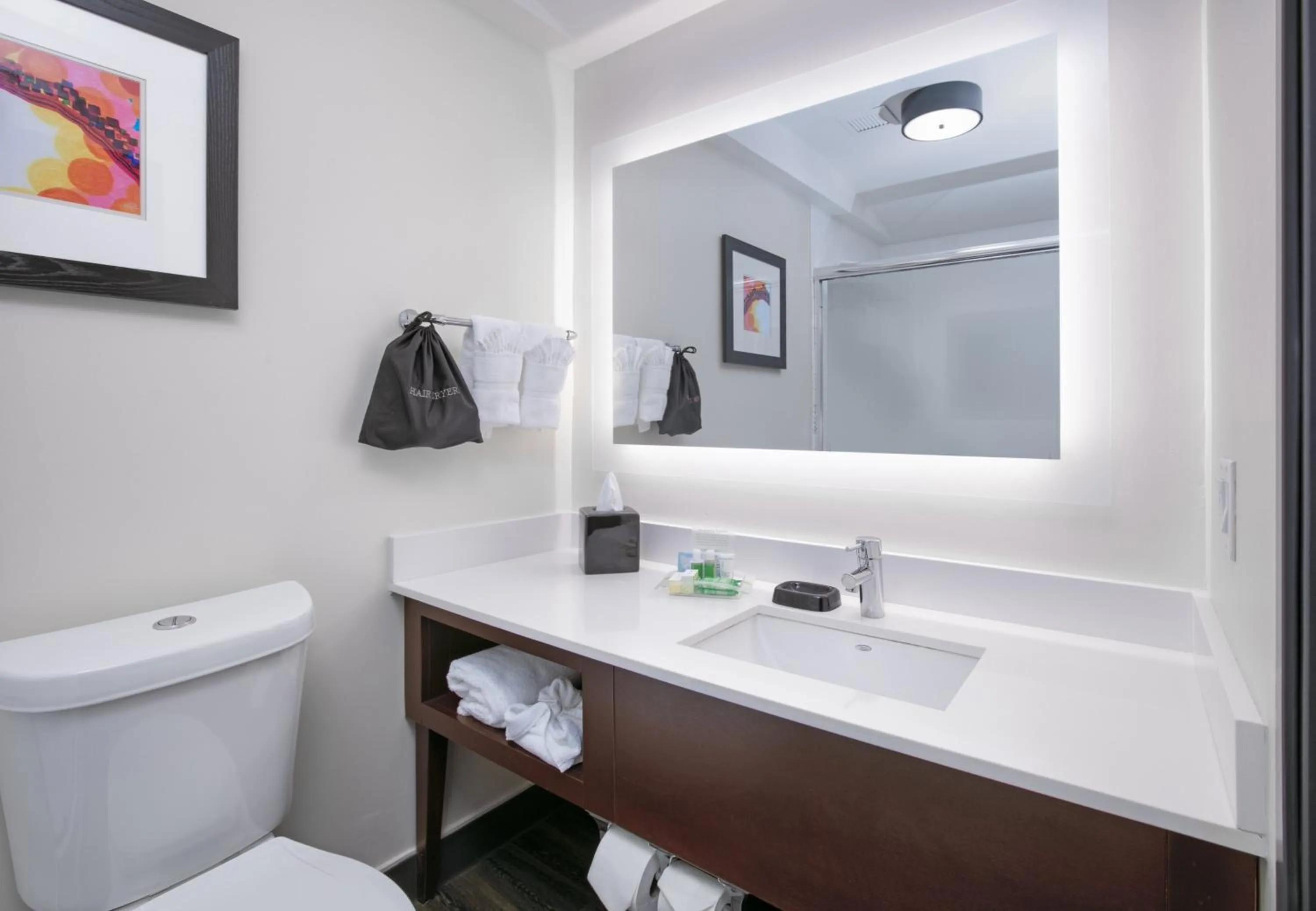 Bathroom in Holiday Inn Dallas - Fort Worth Airport South by IHG