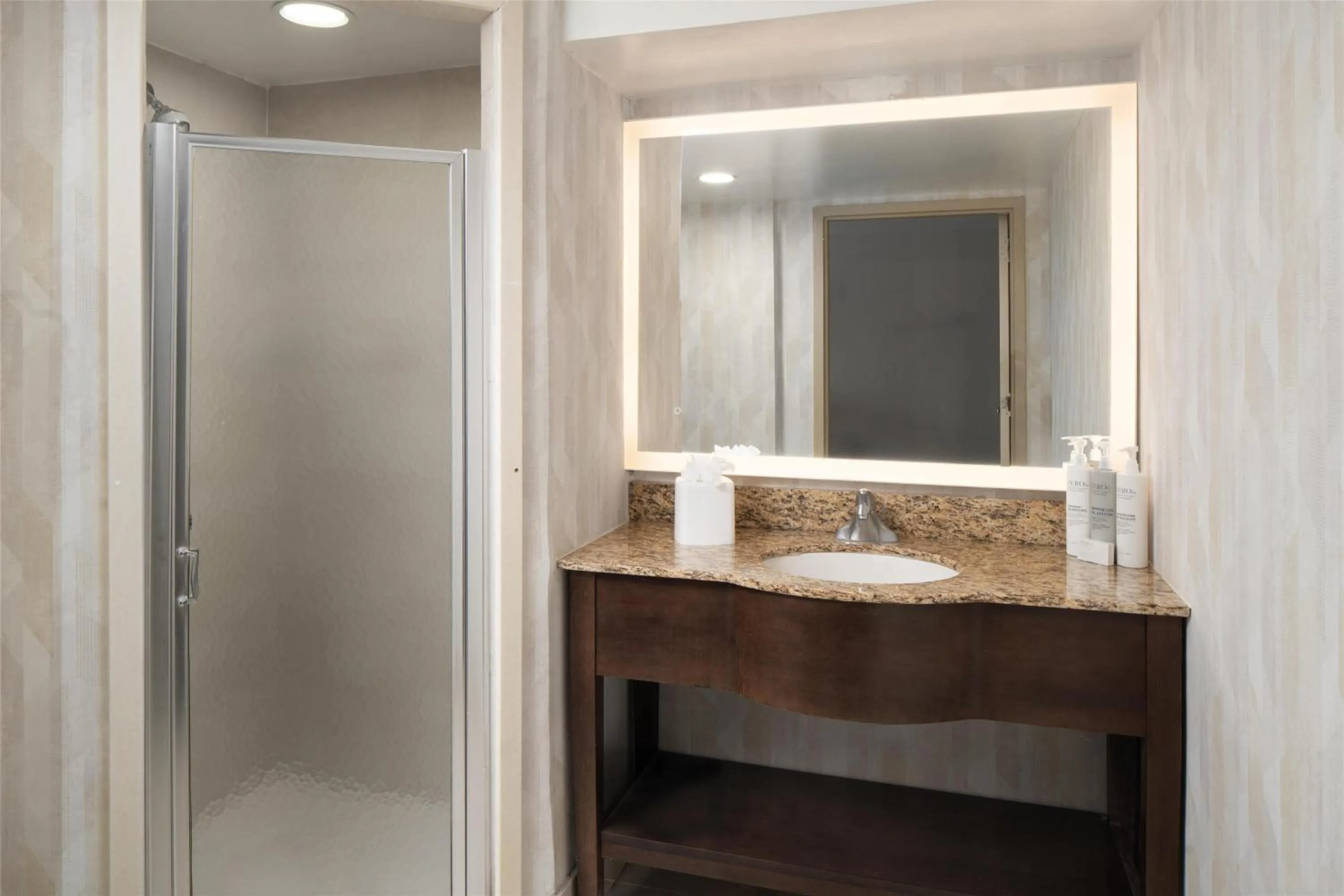 Bathroom in Hampton Inn Hopewell Fort Gregg-Adams