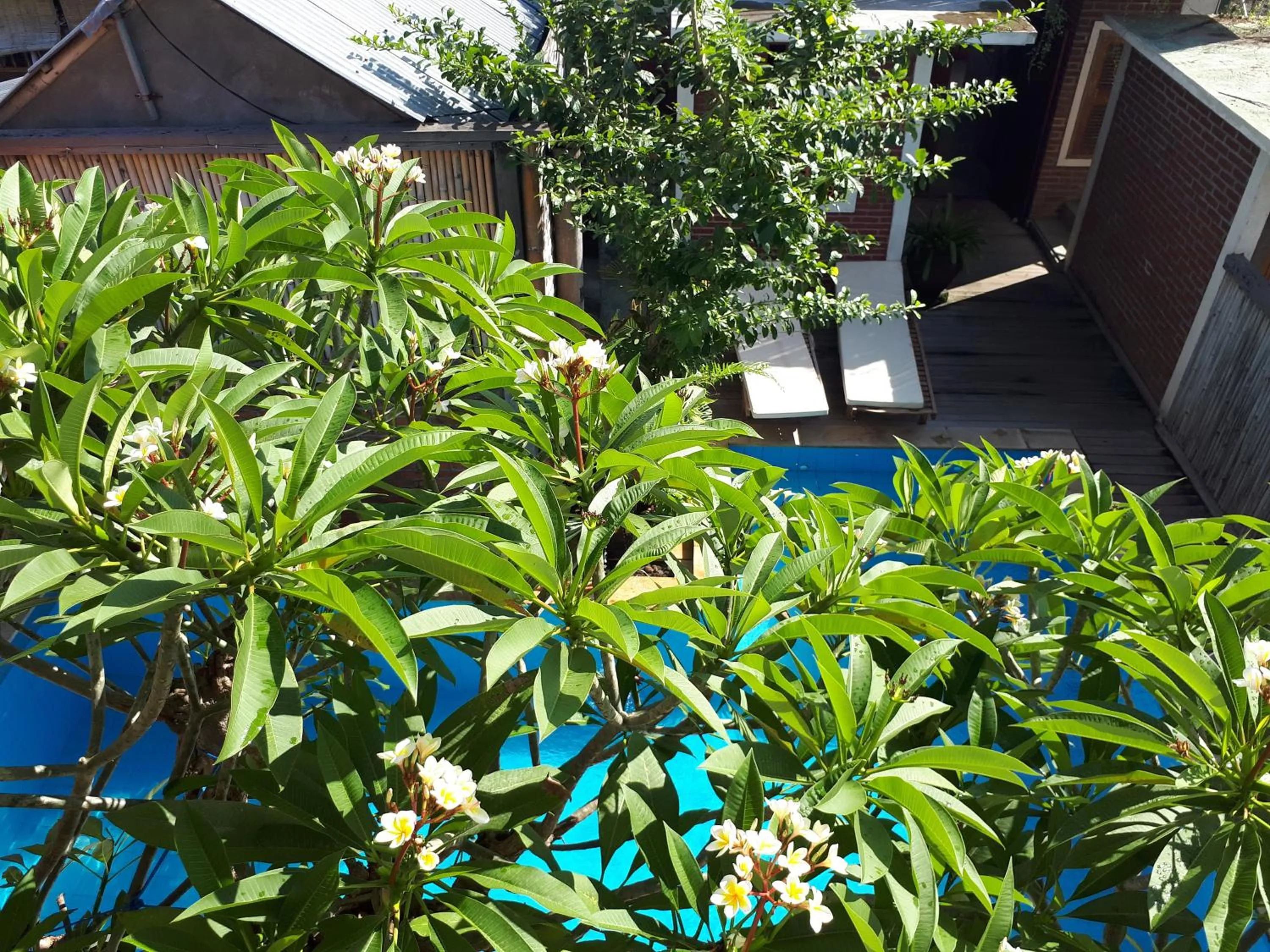 Day in Amed Sunset Beach