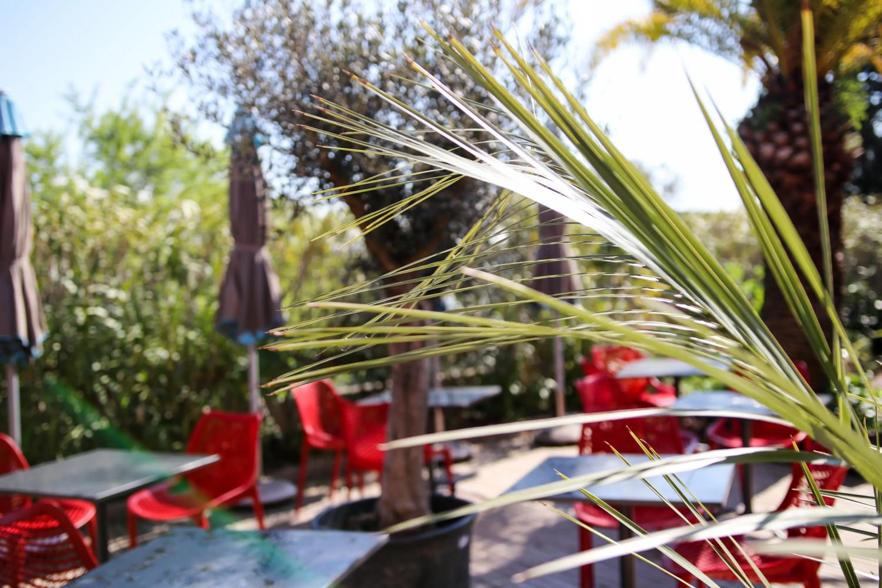 Garden in Hotel La Villa Florida