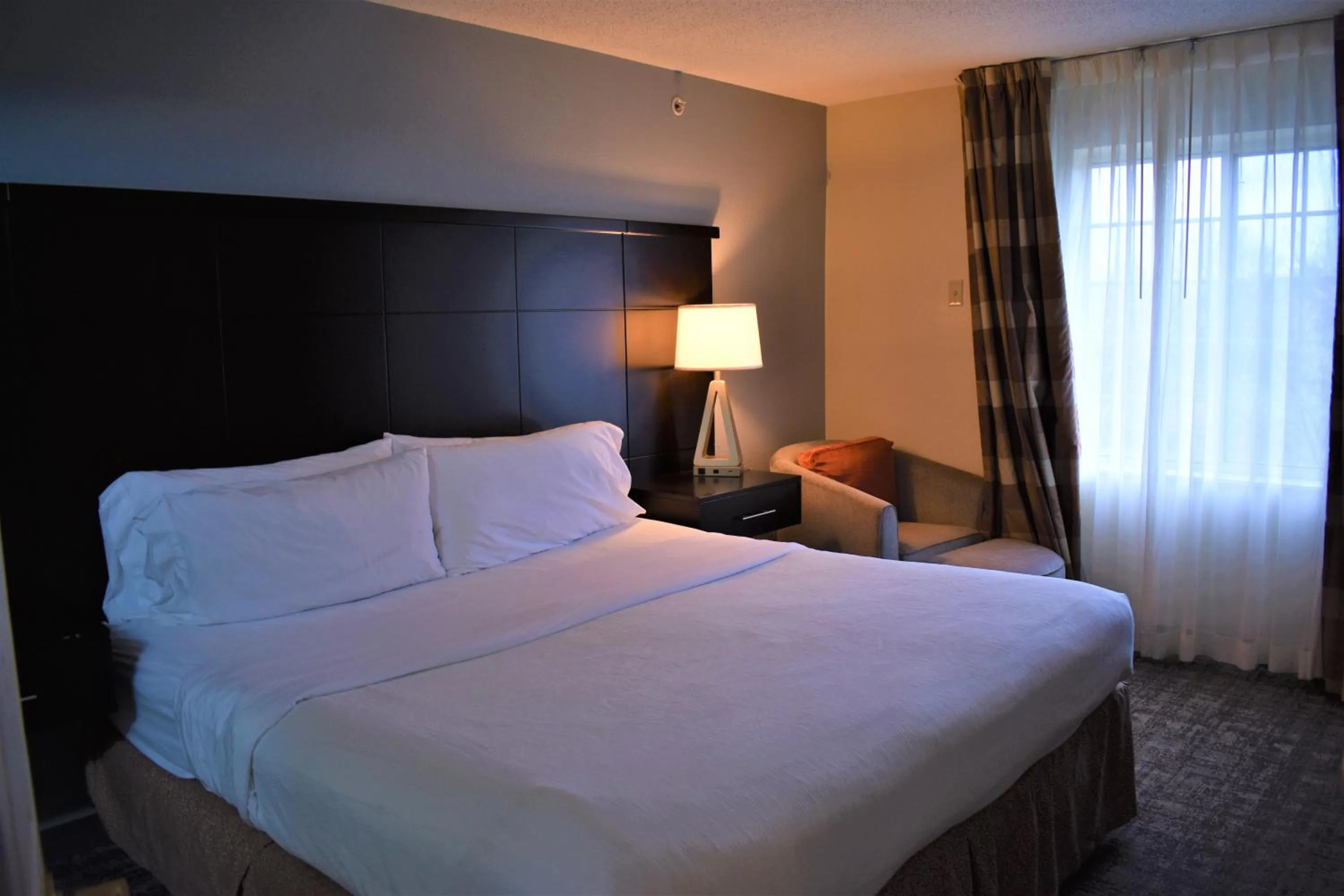 Bed in Staybridge Suites Cranbury - South Brunswick by IHG