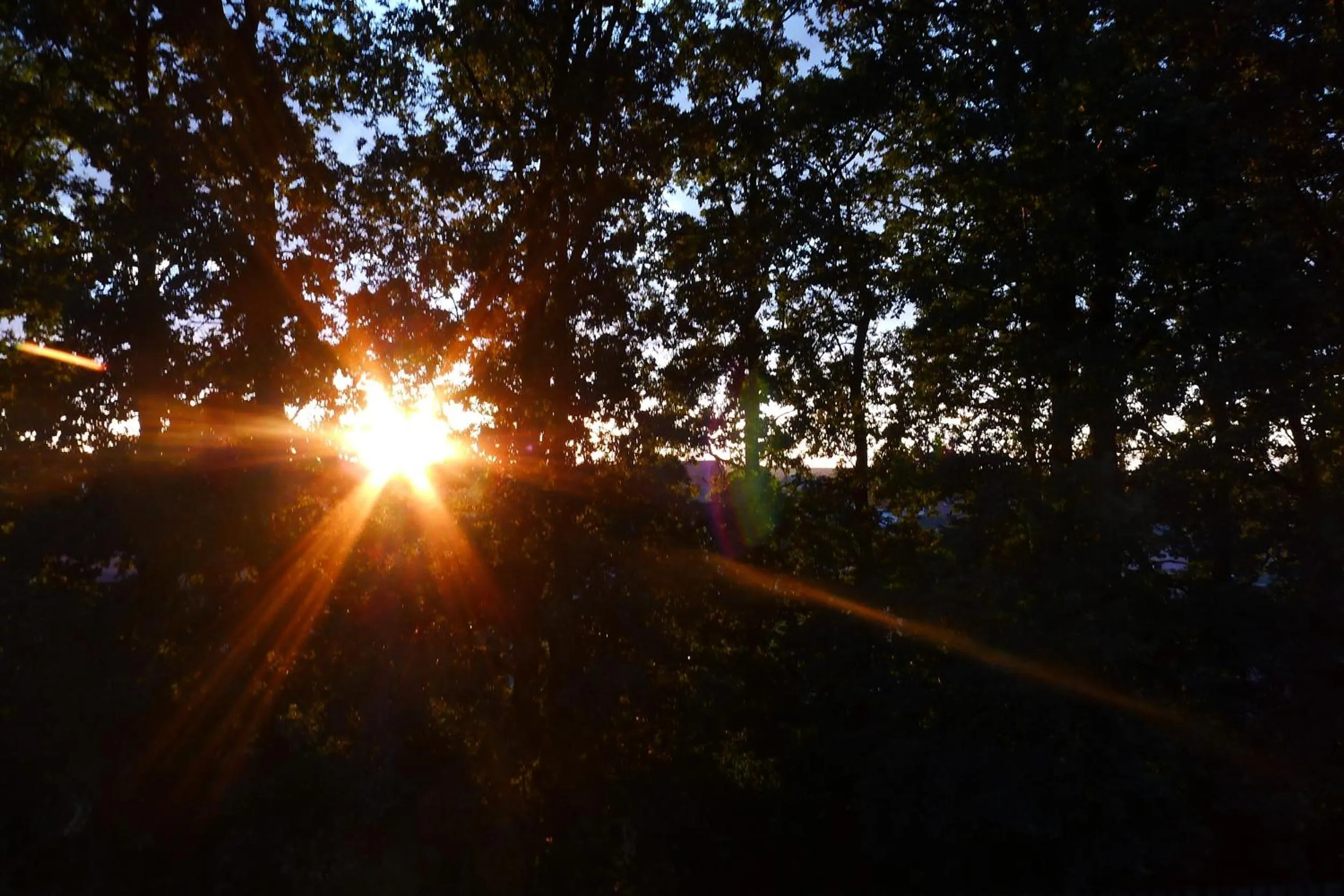 City view in Hotel Protea Bolesławiec