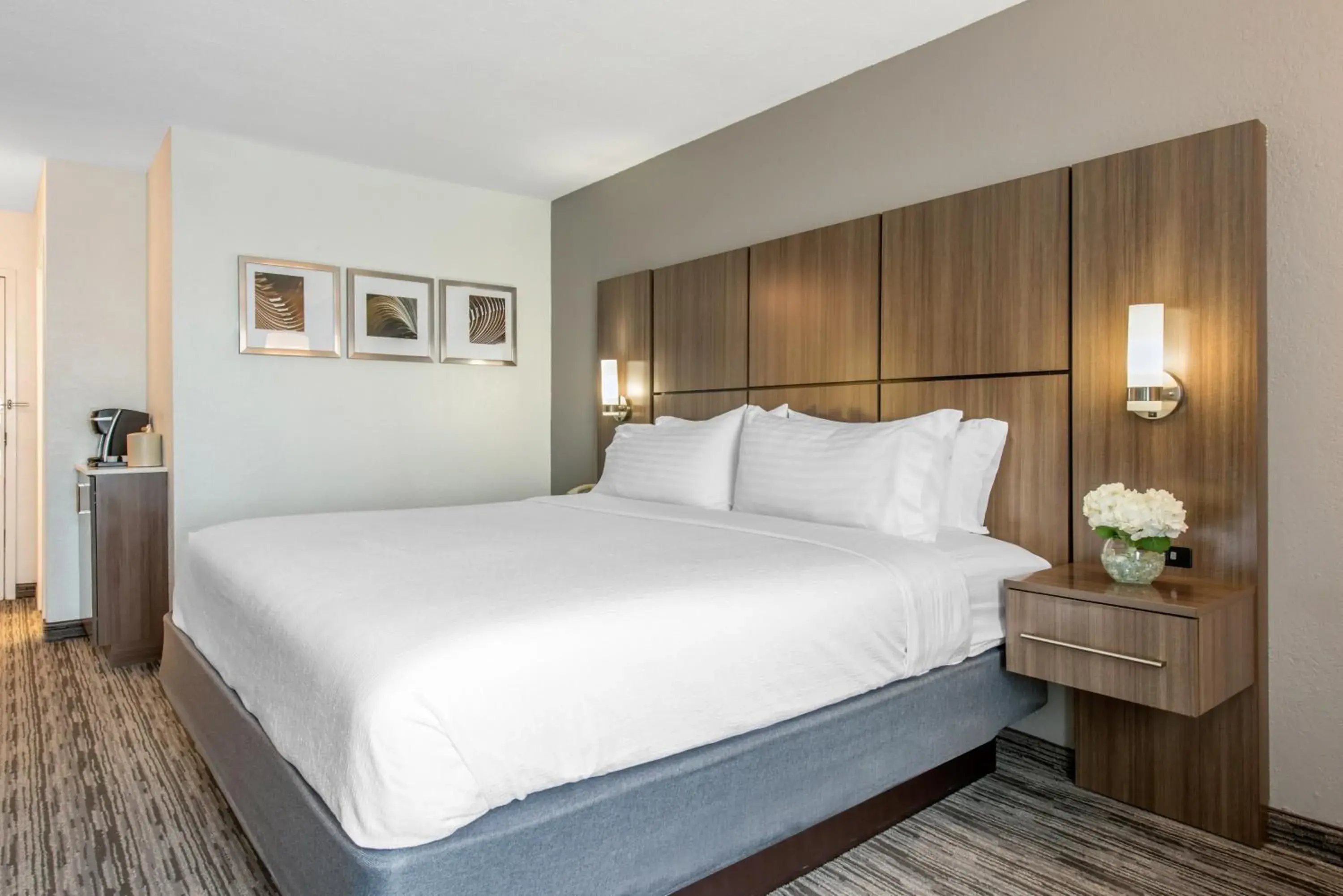 Standard King Room in Holiday Inn Melbourne-Viera Conference Ctr by IHG Standard King Room in Holiday Inn Melbourne-Viera Conference Ctr by IHG