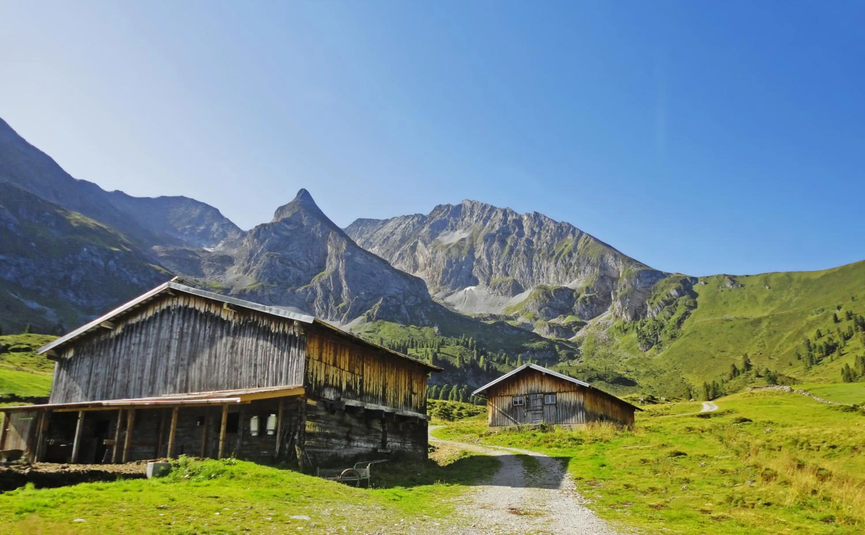 Neighbourhood in Hotel Pinzger Tux