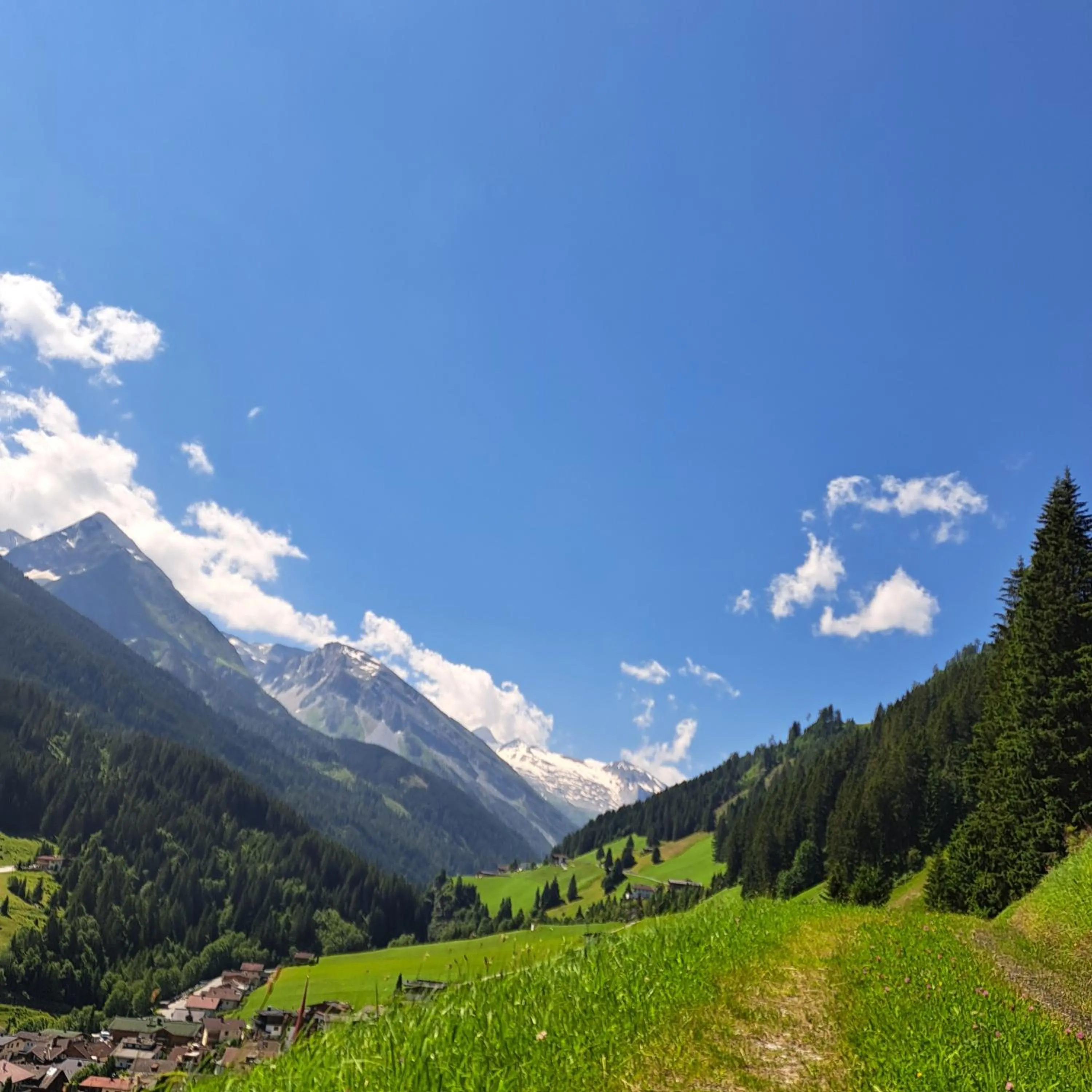 Day in Hotel Pinzger Tux