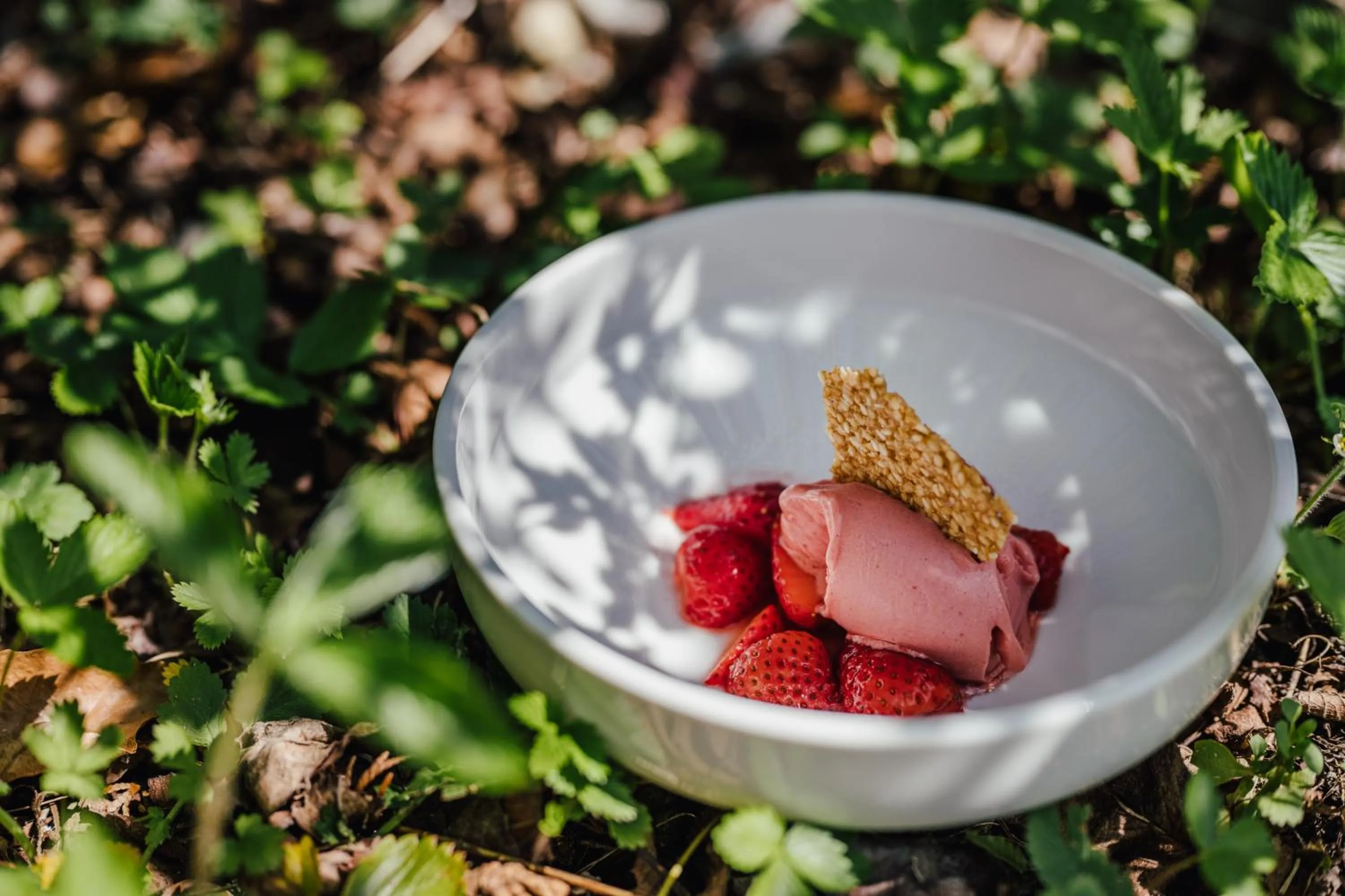 Restaurant/places to eat in Hotel-Restaurant Ammerhauser