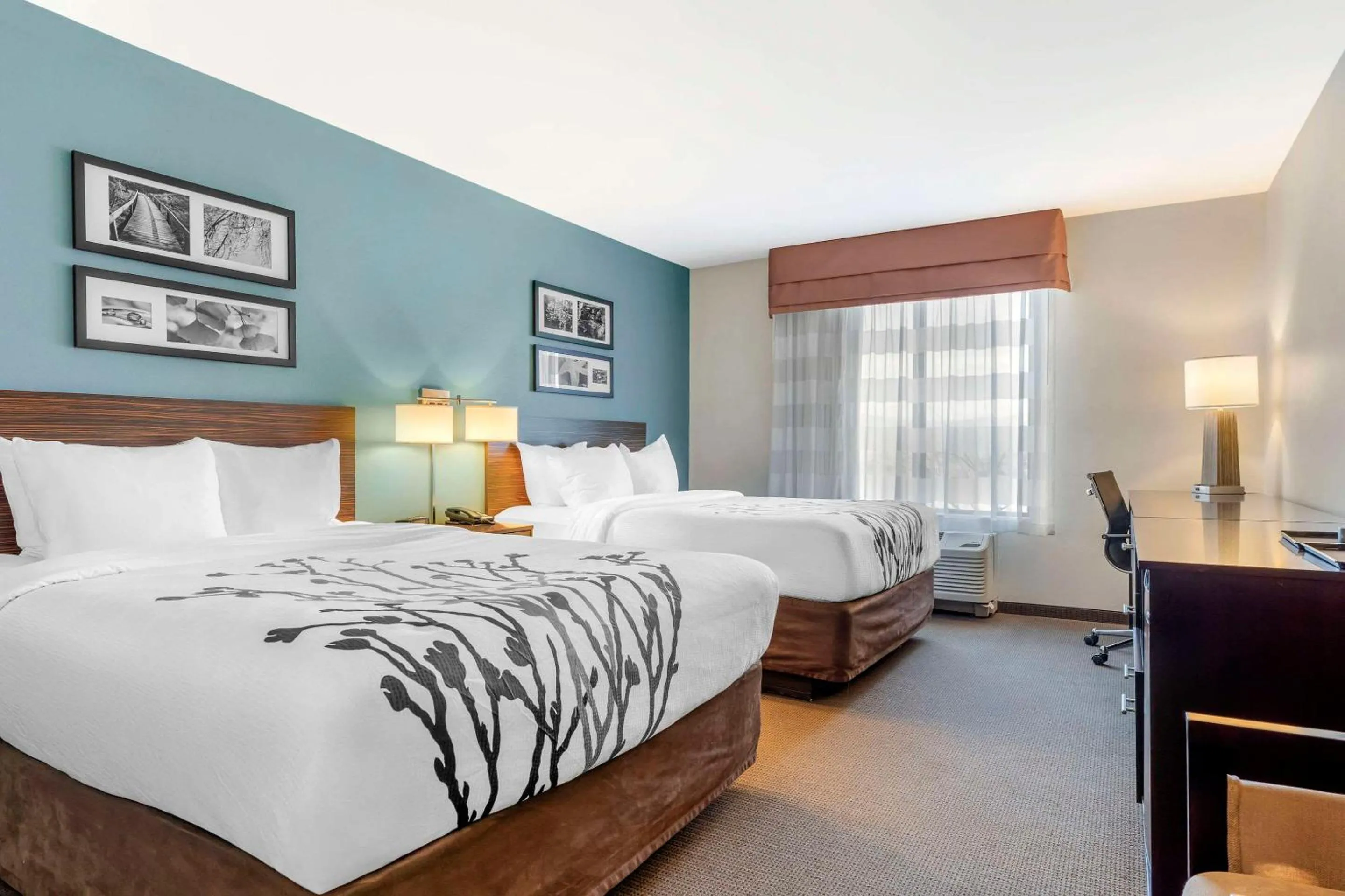 Bedroom, Bed in Sleep Inn & Suites Cumberland