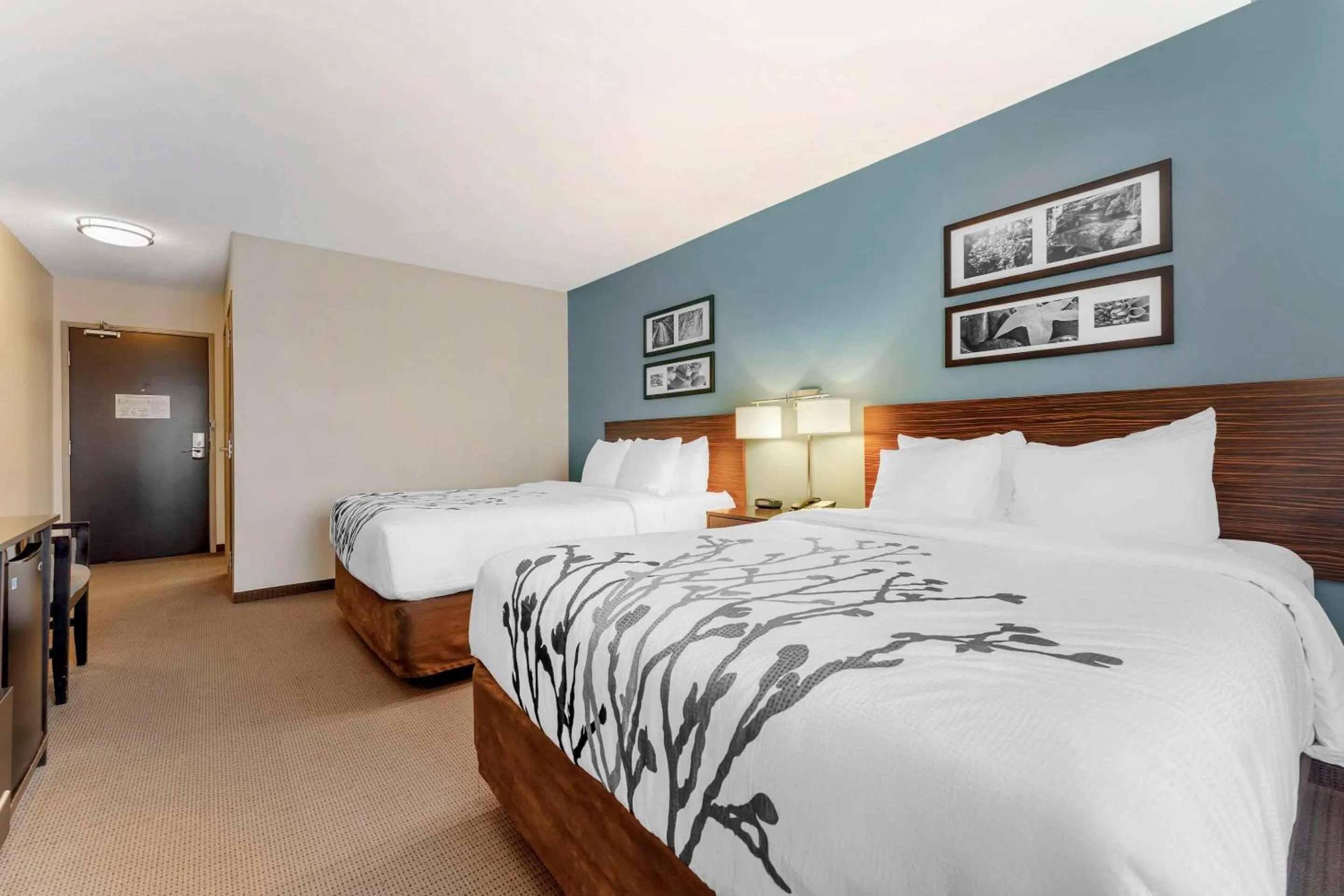 Bedroom, Bed in Sleep Inn & Suites Cumberland