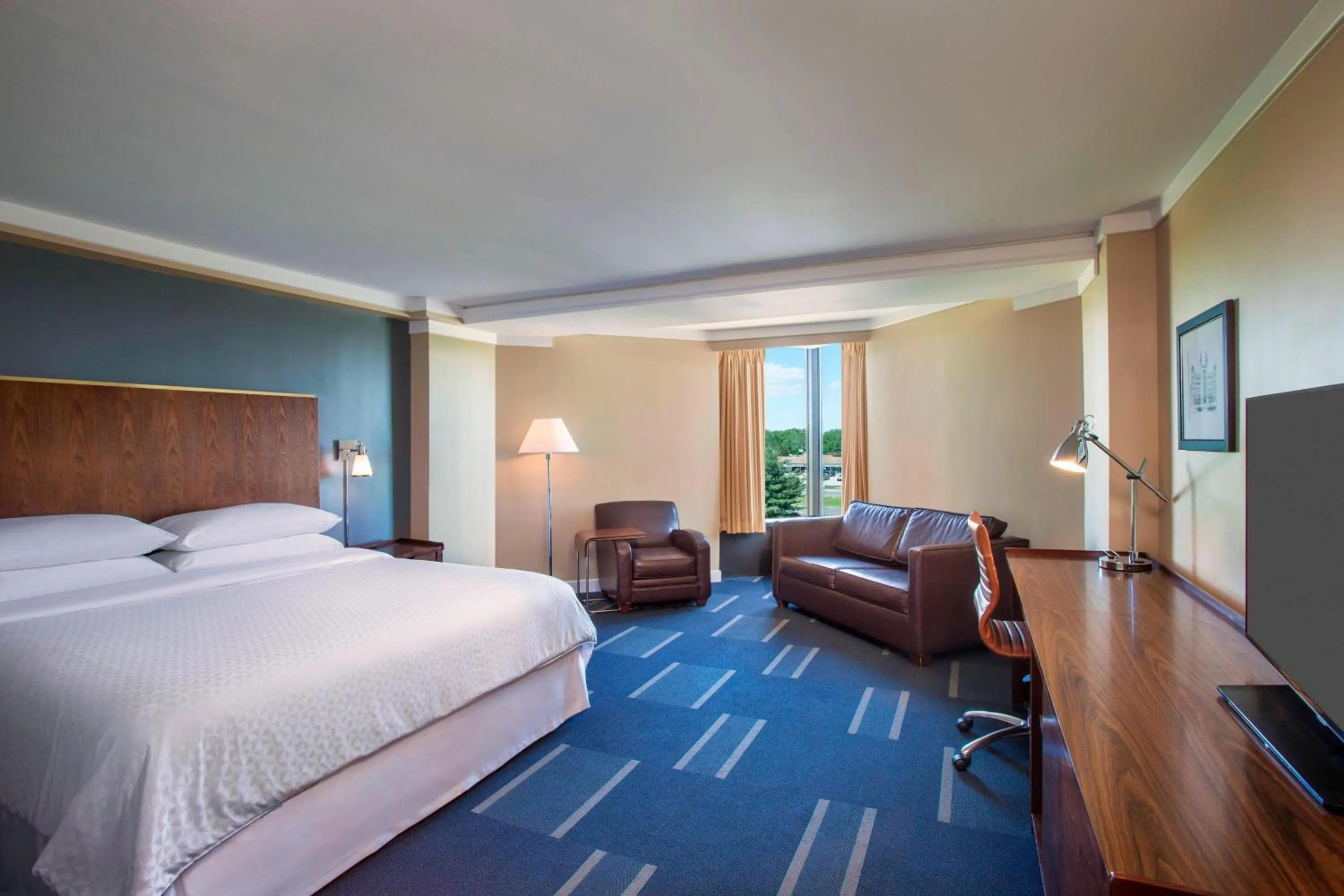 Photo of the whole room, Bed in Four Points by Sheraton Richmond