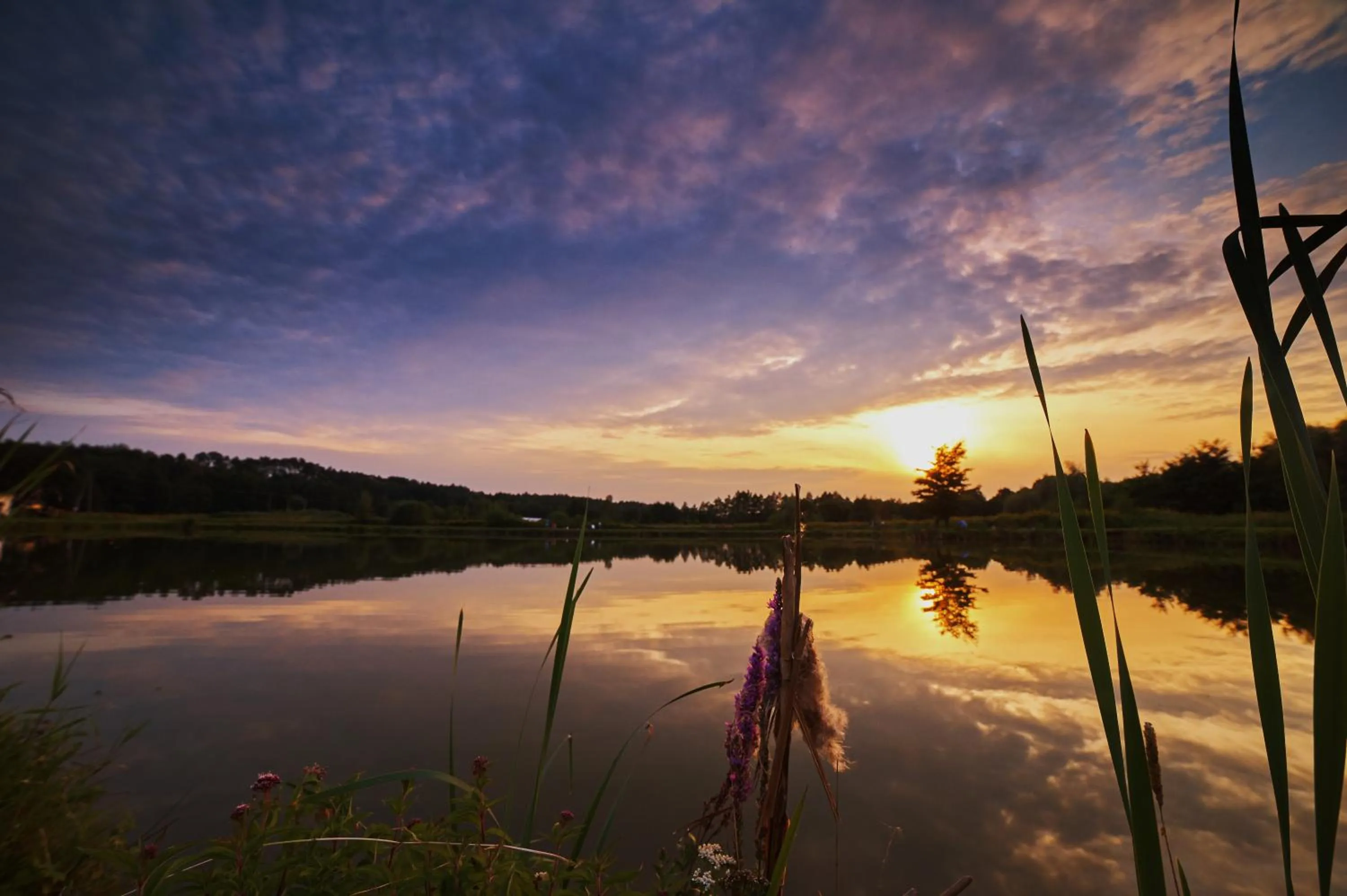 Neighbourhood in Rancho