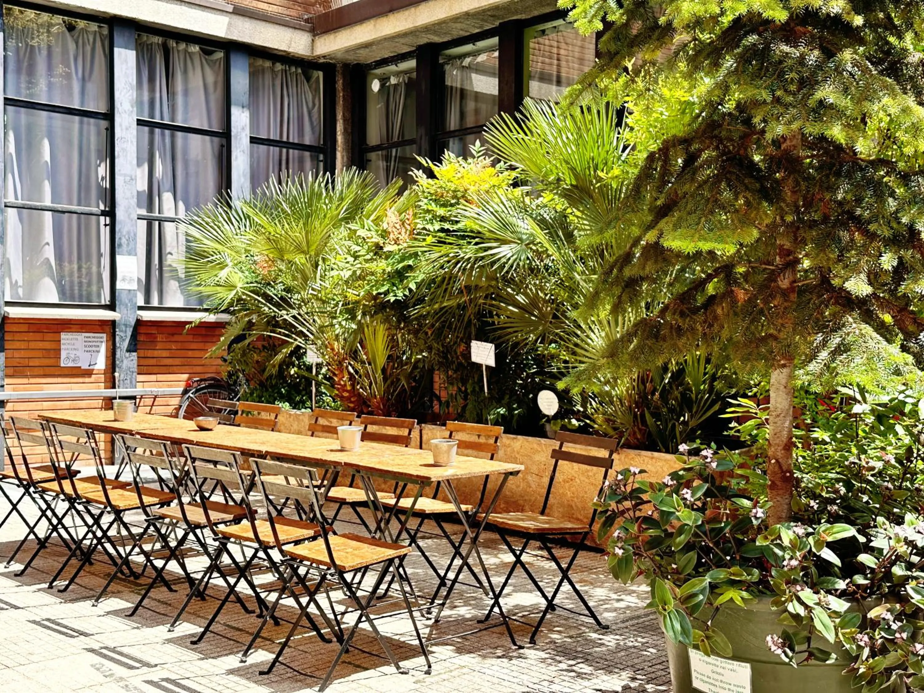 Garden in Mio Hostel