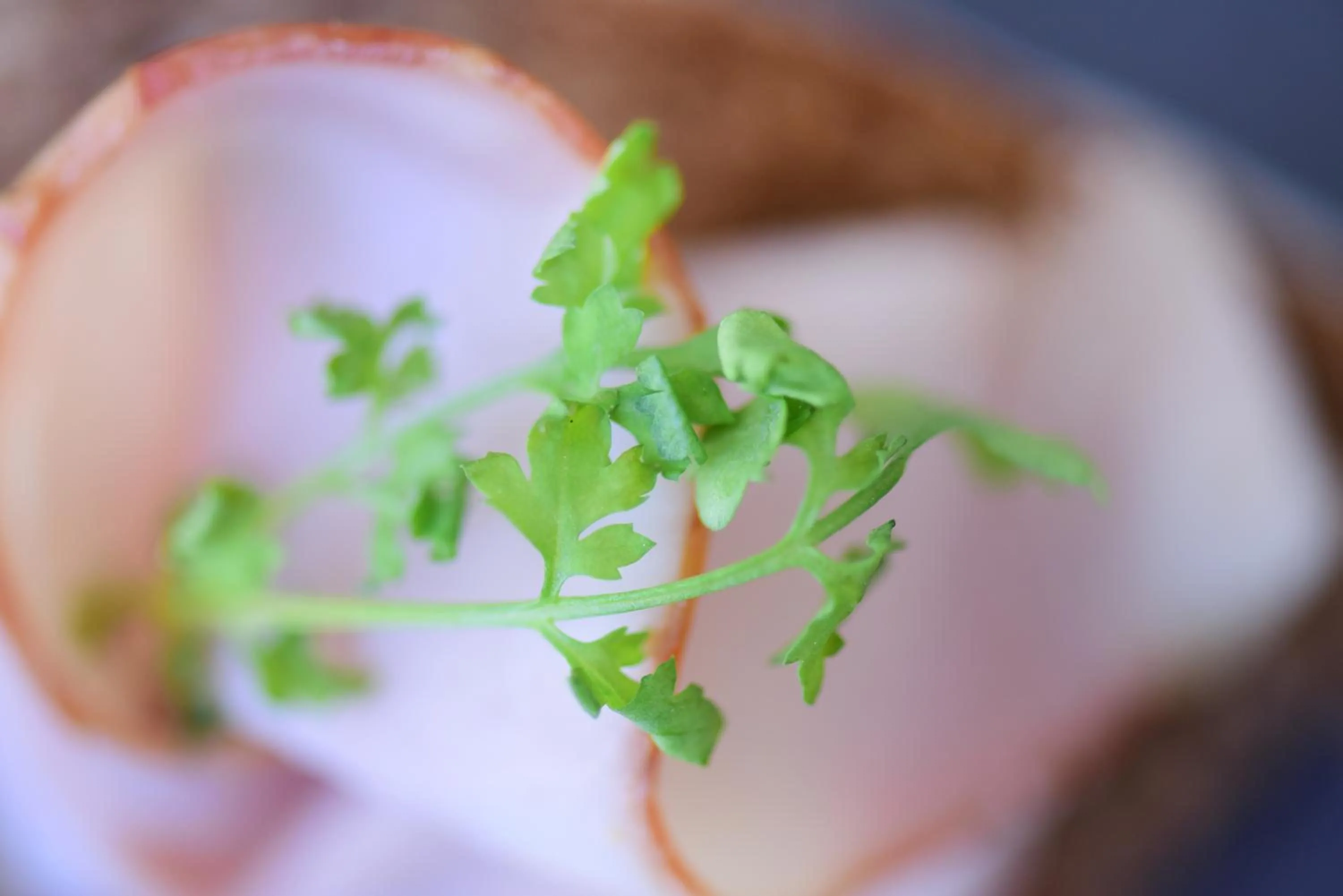 Food close-up in Das Alte Rathaus