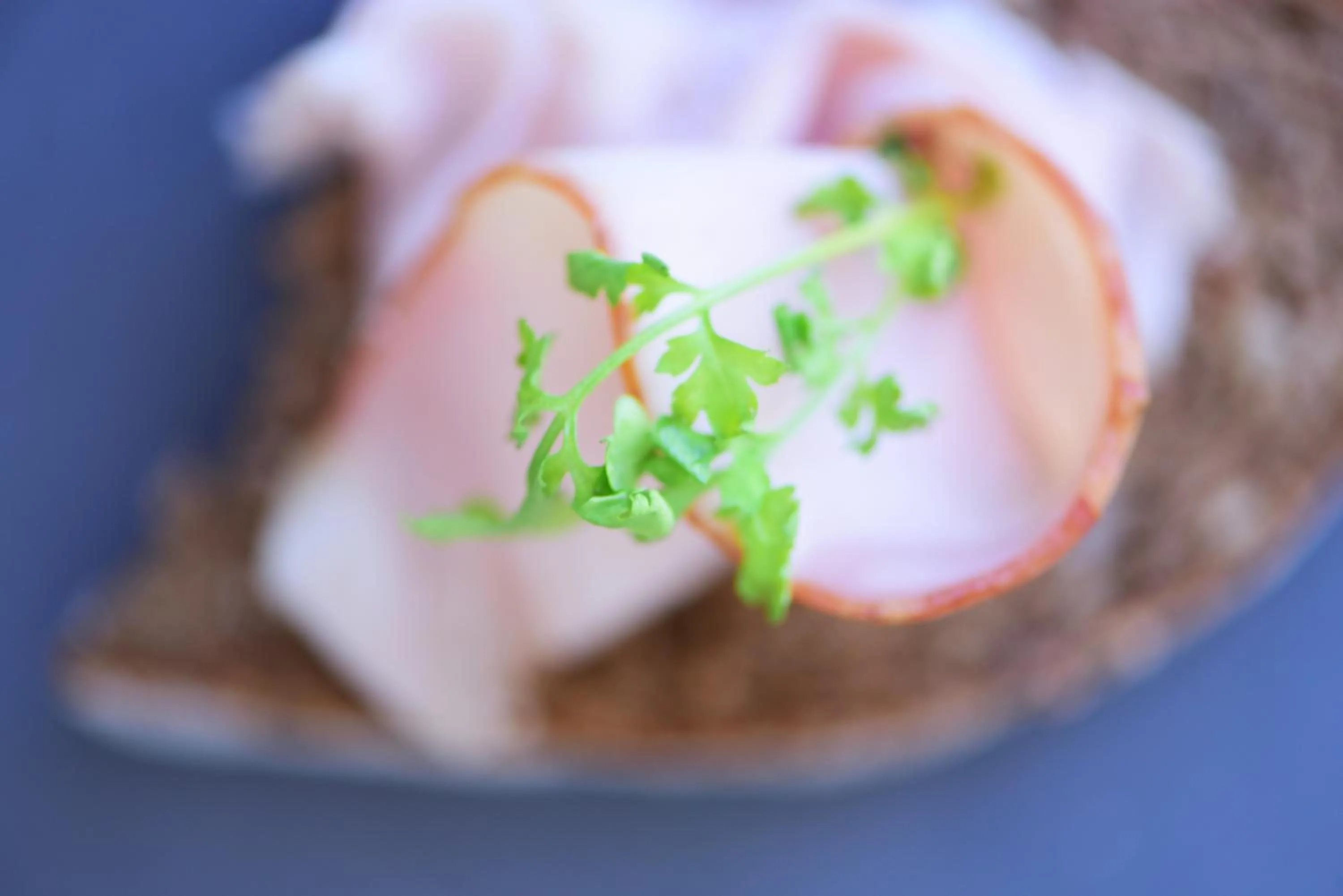 Food close-up in Das Alte Rathaus