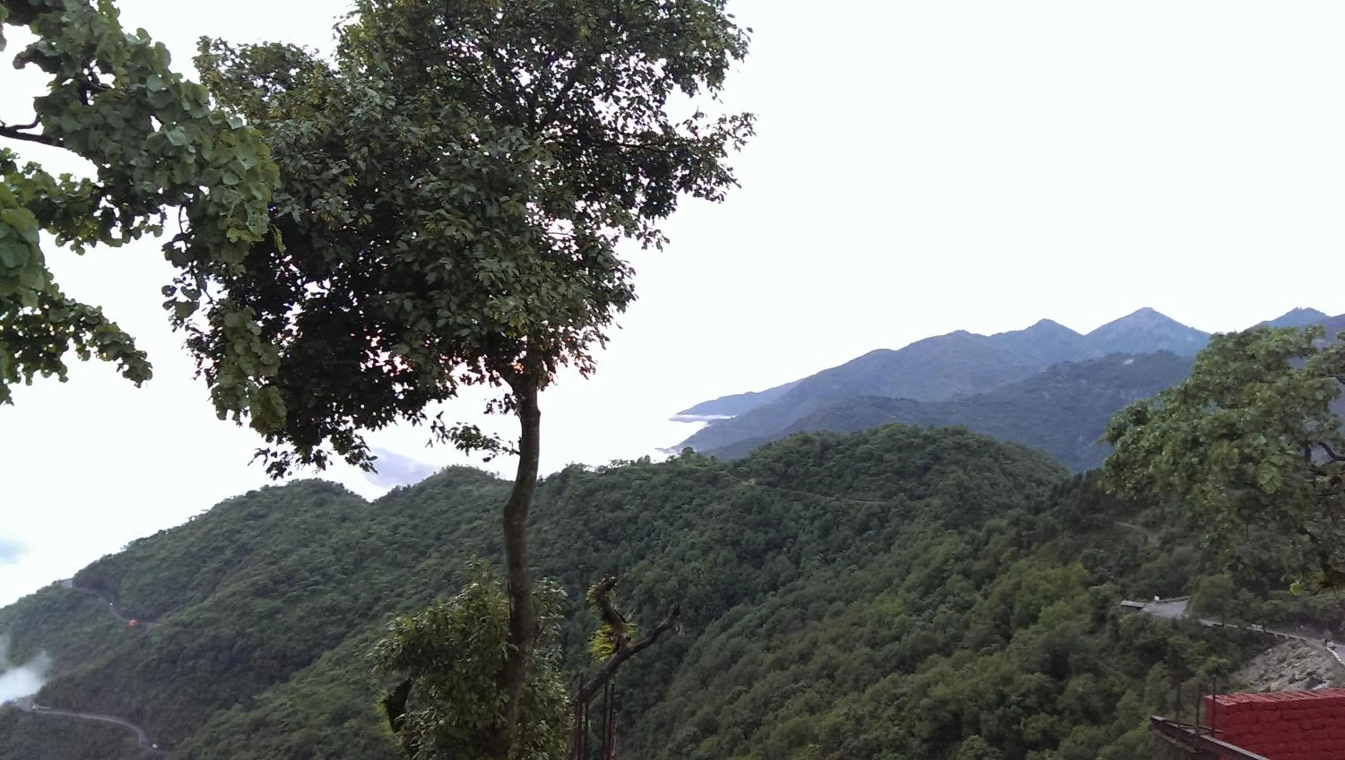 Property building in Jharipani Castle