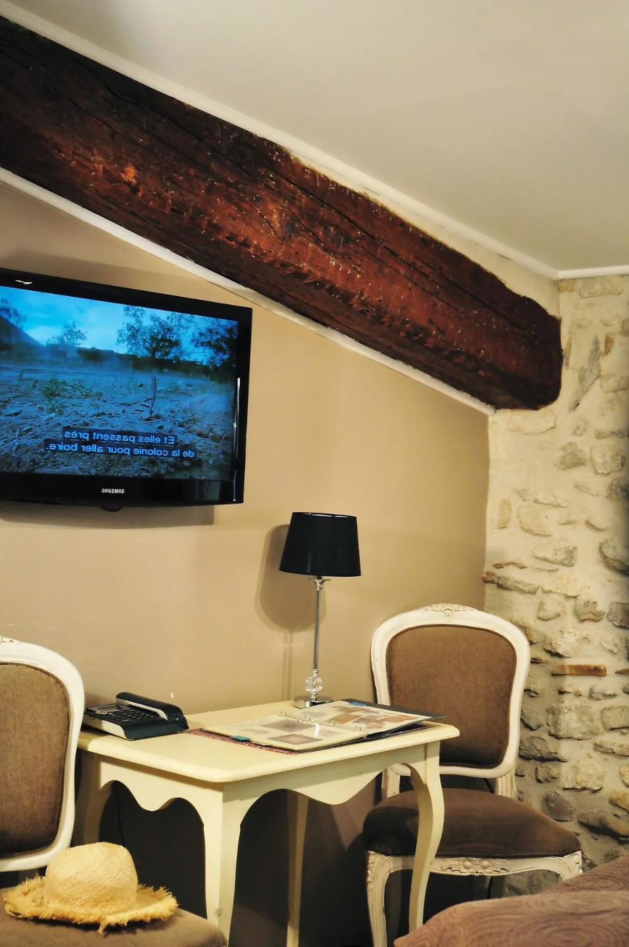 TV and multimedia in Hôtel du Palais des Papes