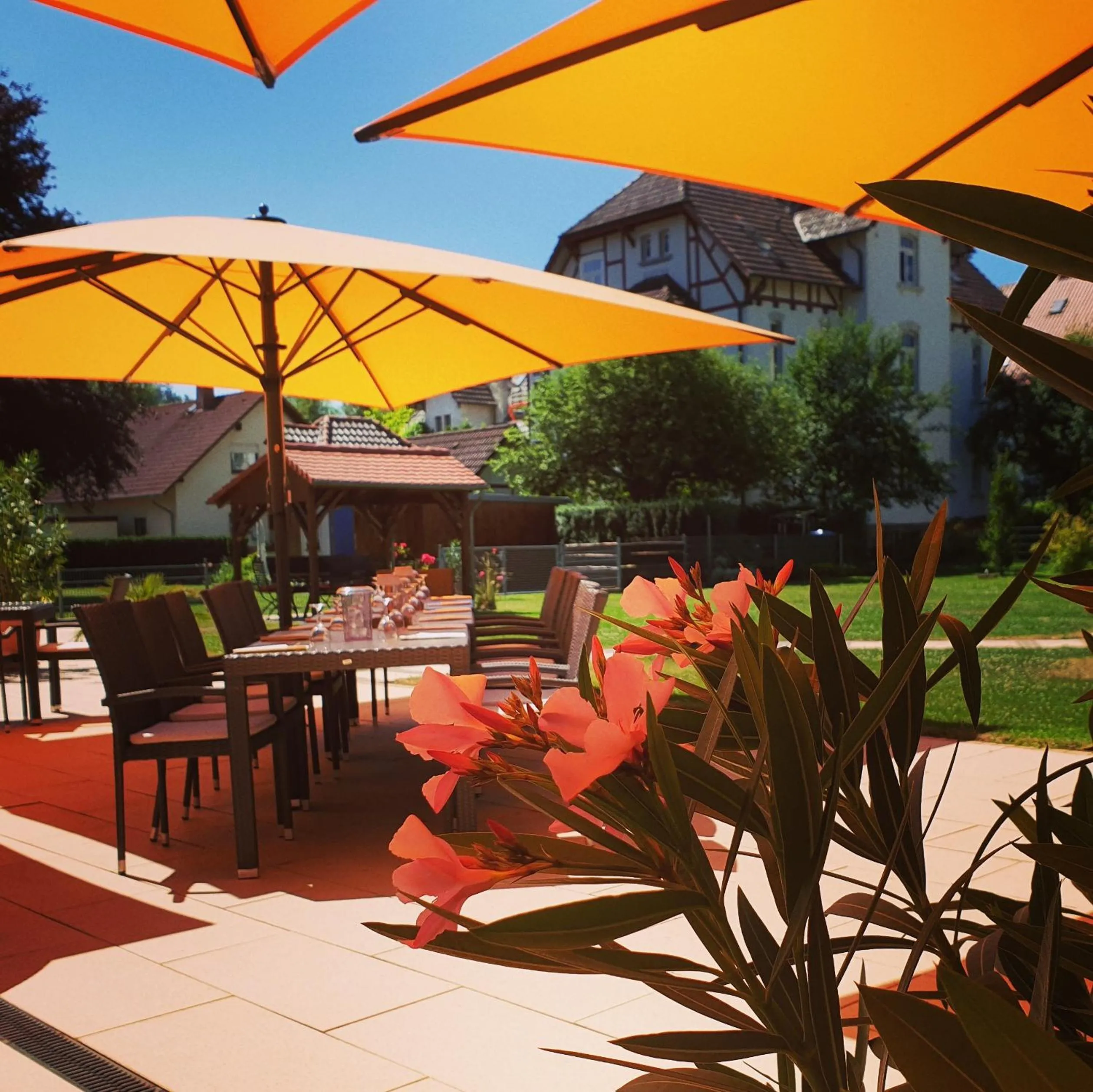 Restaurant/places to eat in Hotel Hessischer Hof