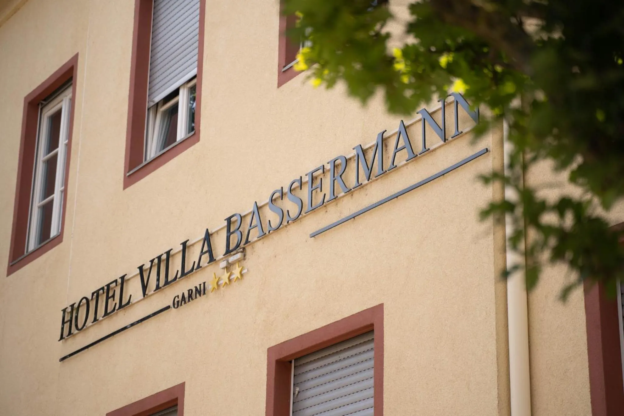 Hotel Villa-Bassermann, stilvoll, 2 Min zum Schloss, schnelles WLAN & Parkplatz