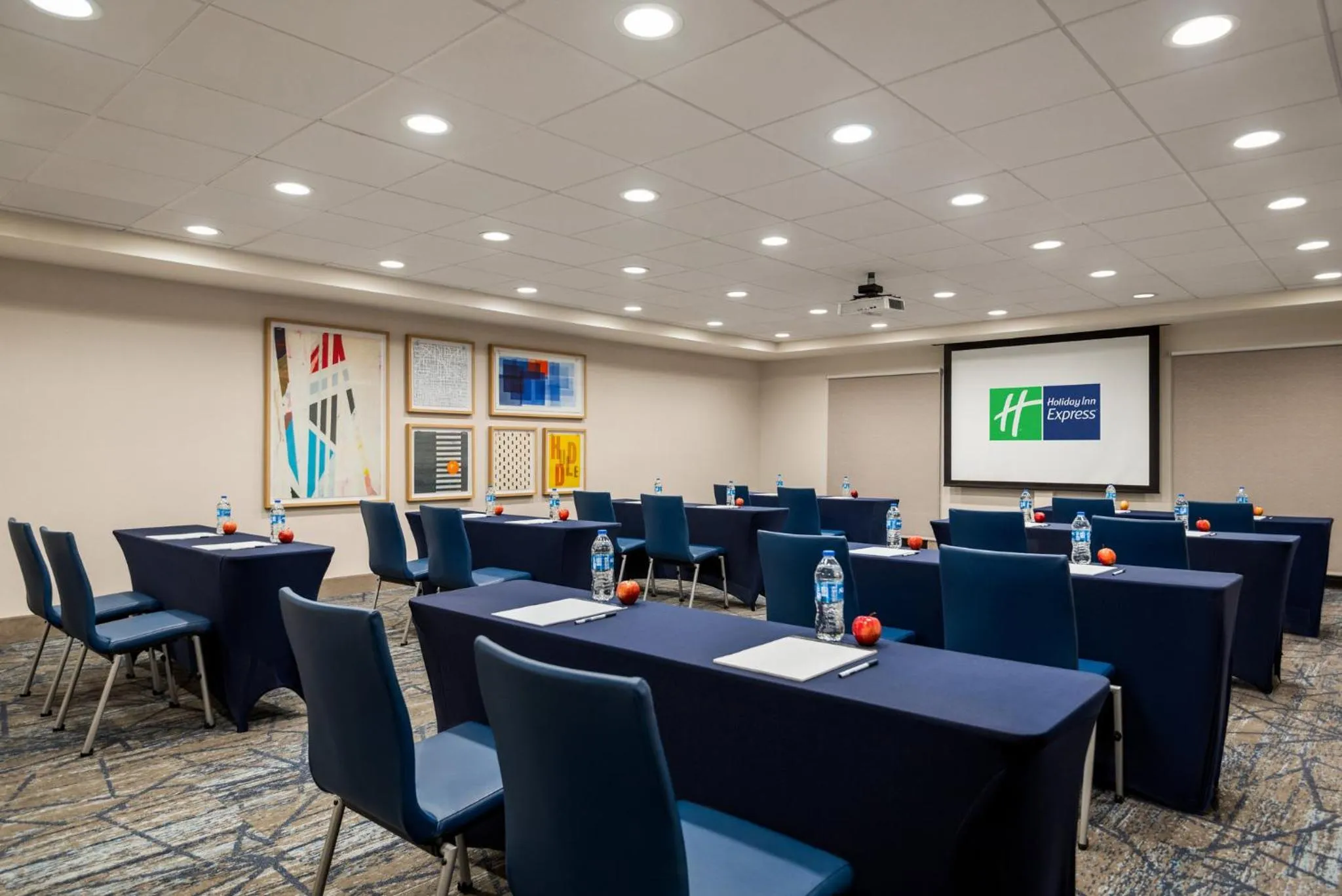Meeting/conference room in Holiday Inn Express Hotel & Suites McDonough by IHG