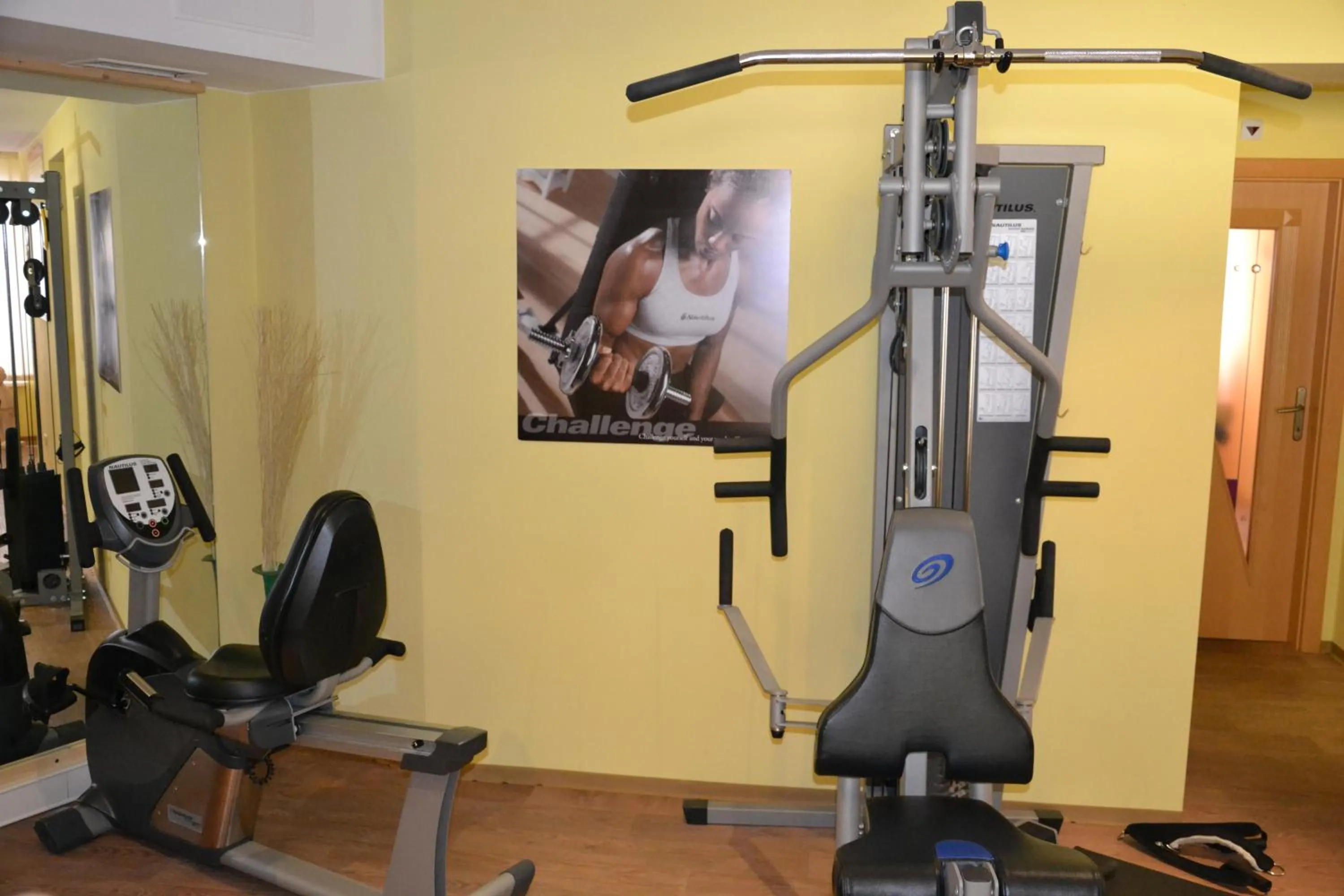 Fitness centre/facilities in Hotel Alpina nature-wellness