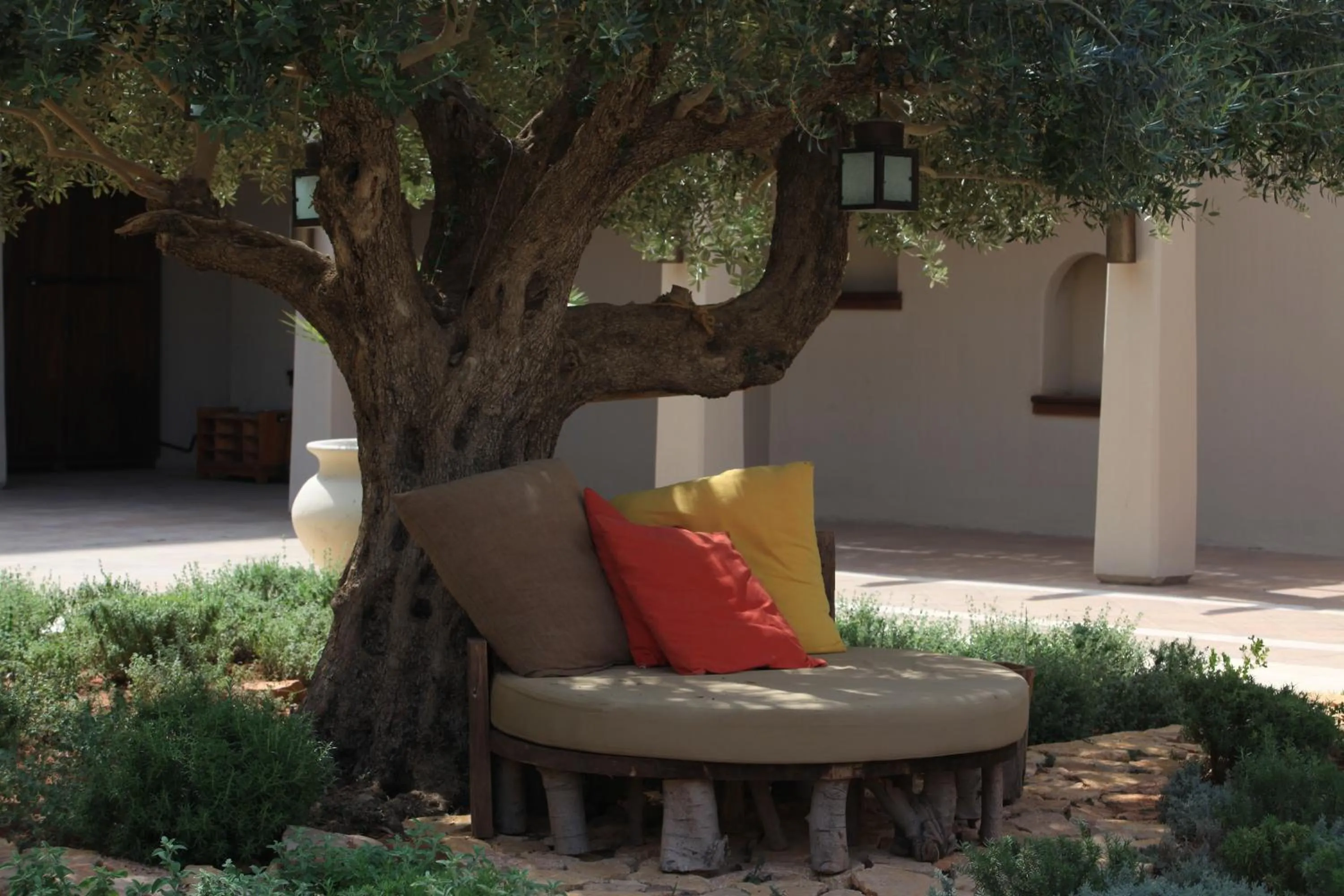 Natural landscape in Ma'in Hot Springs