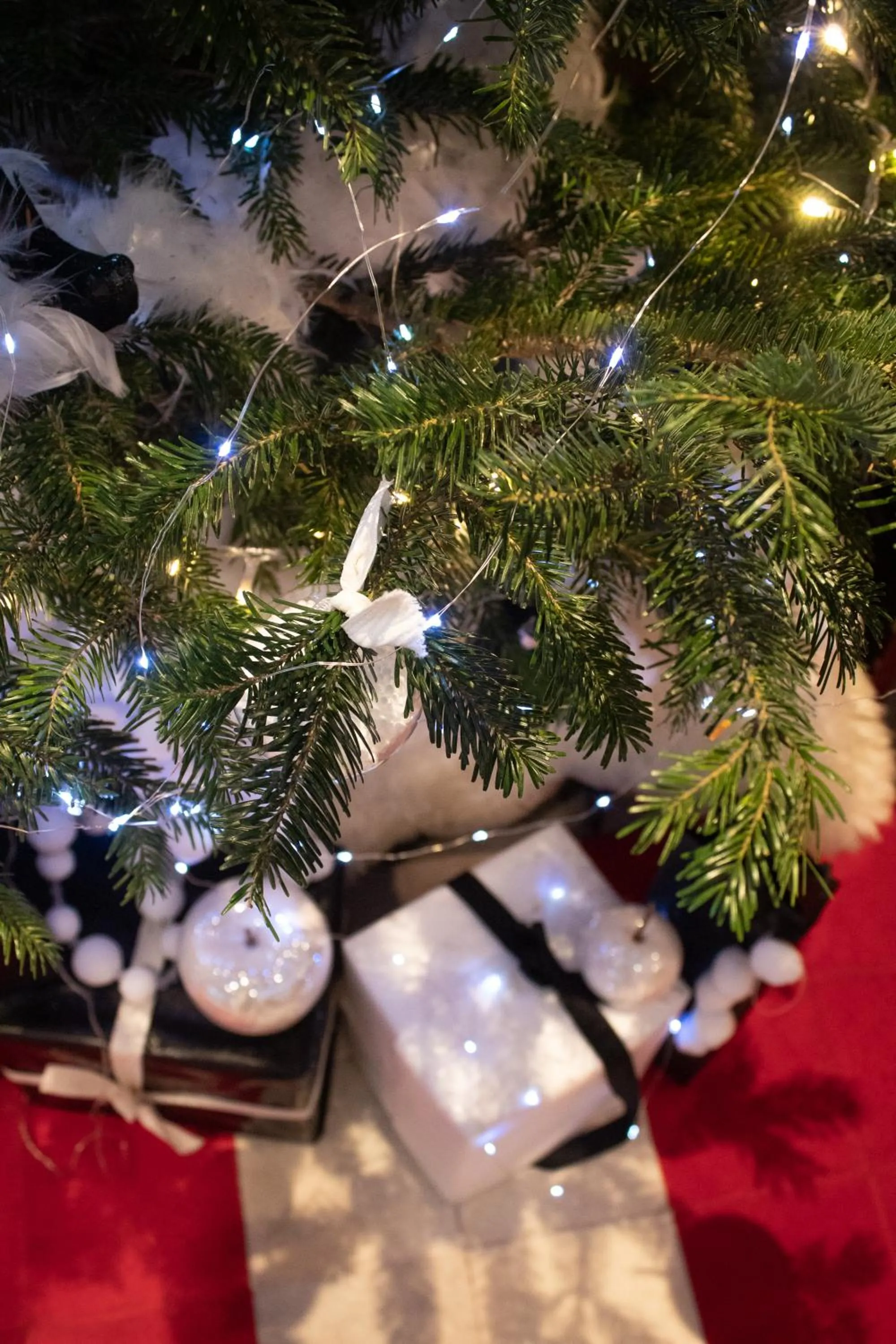 Decorative detail in Hotel 3 Vallées Val Thorens