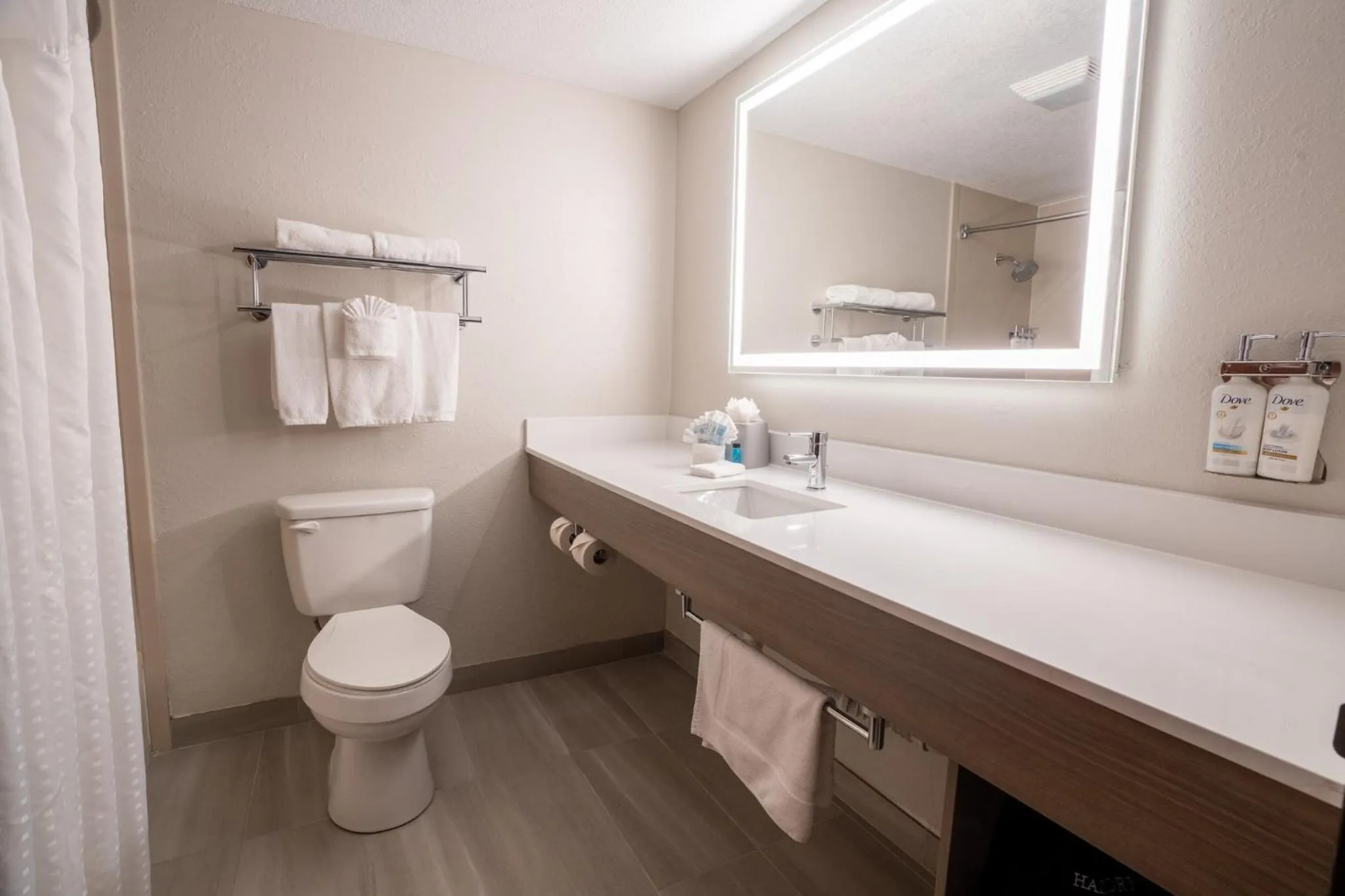 Bathroom in Holiday Inn Express Hotel & Suites Orange City - Deltona by IHG