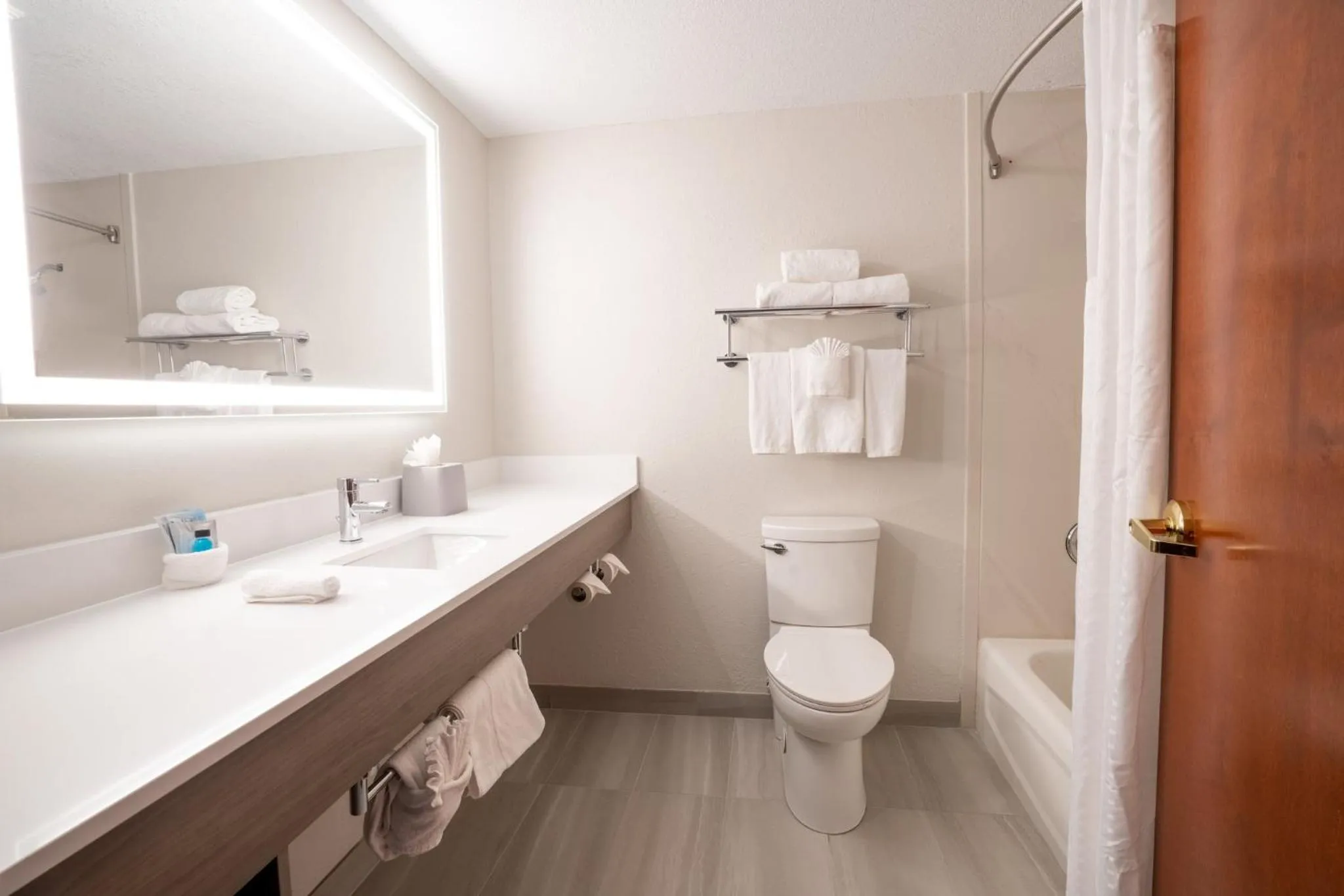 Bathroom in Holiday Inn Express Hotel & Suites Orange City - Deltona by IHG