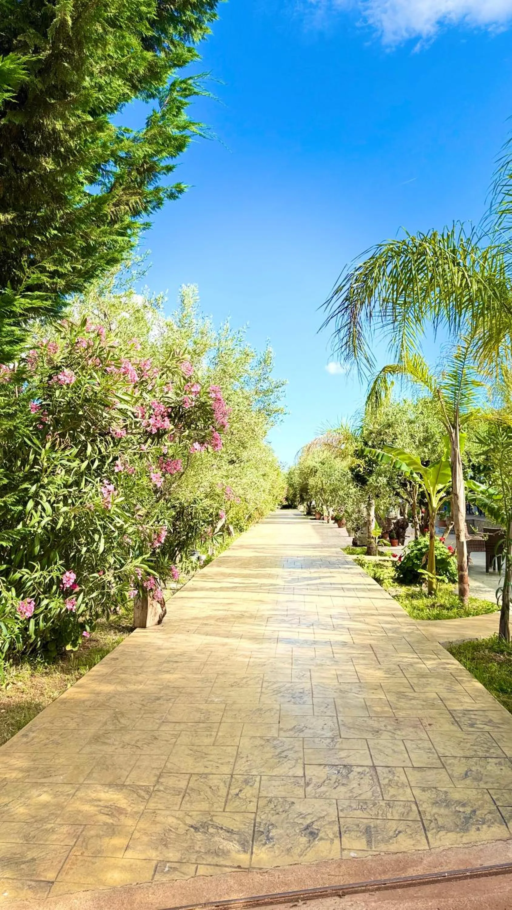 Spring in Rida Village Ksamil Island