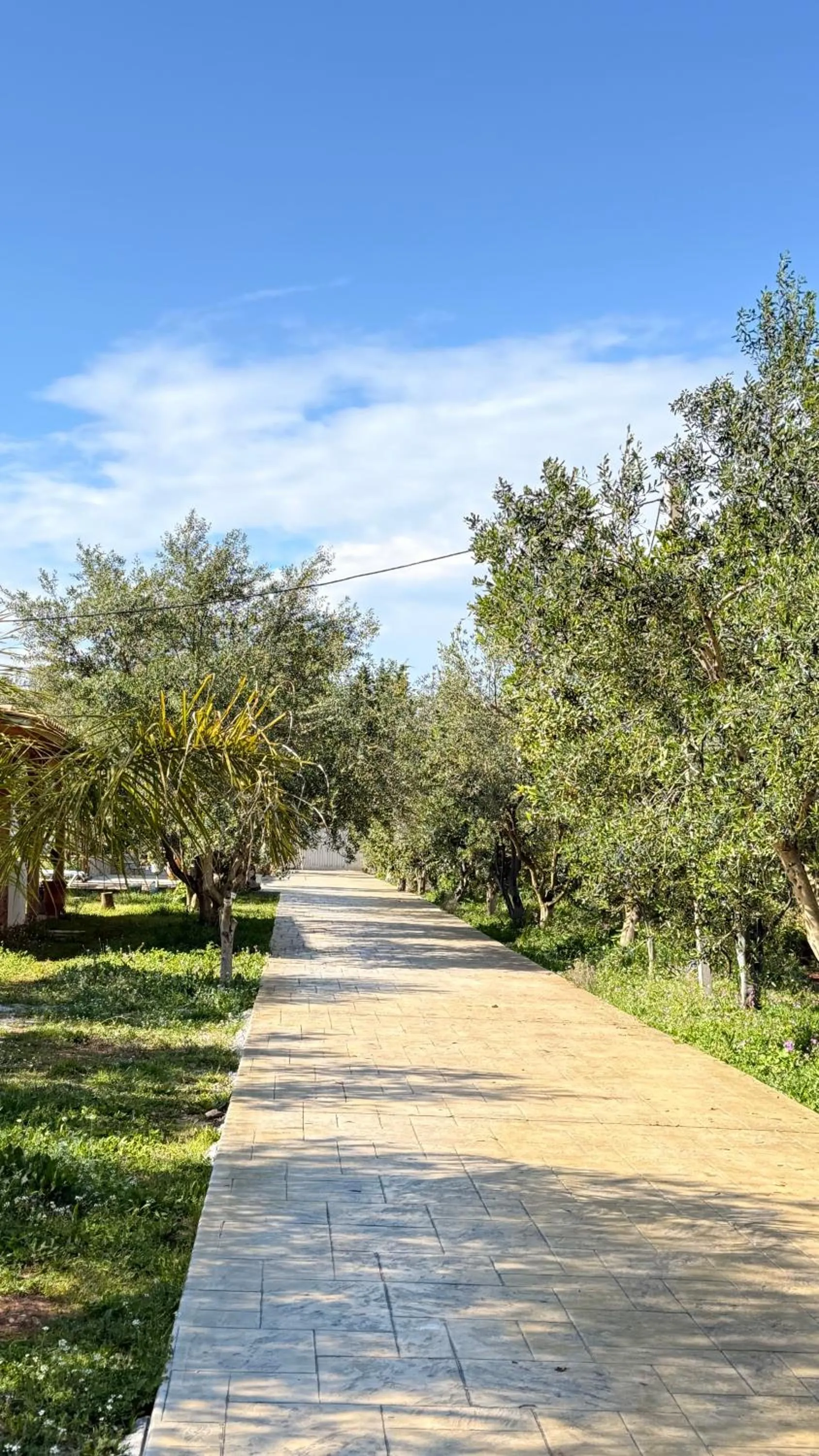 Spring in Rida Village Ksamil Island