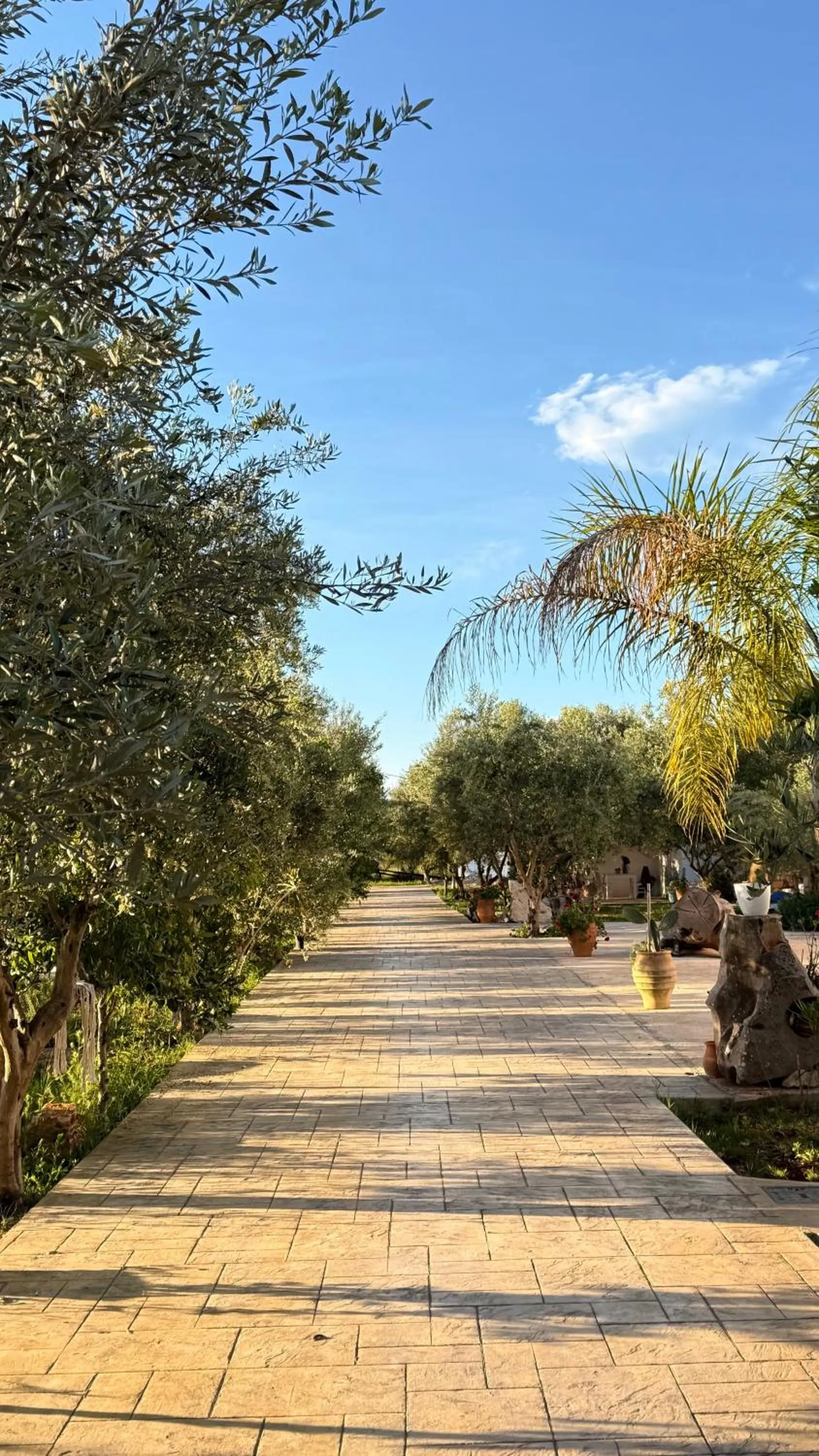 Spring in Rida Village Ksamil Island