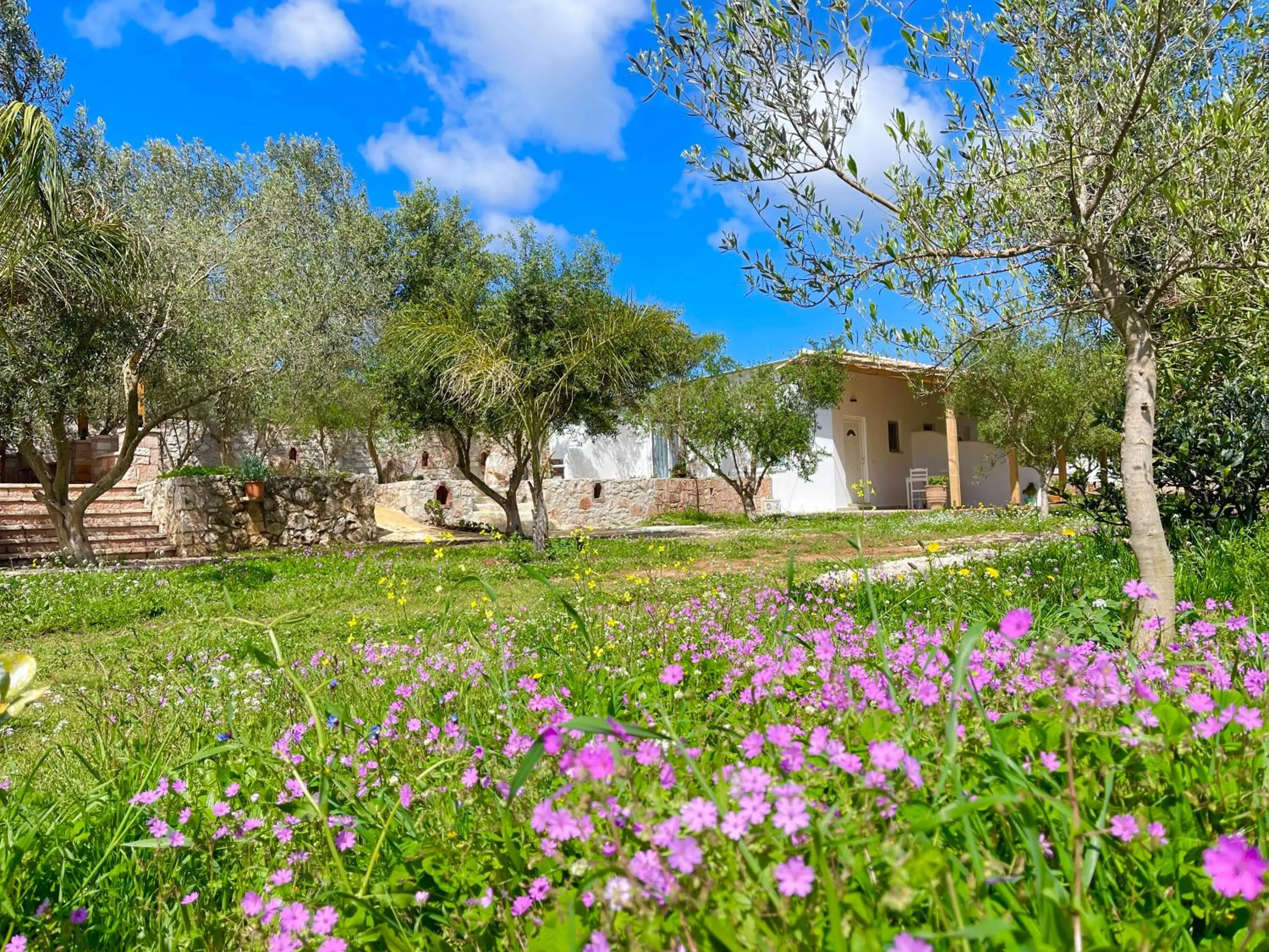 Property building in Rida Village Ksamil Island