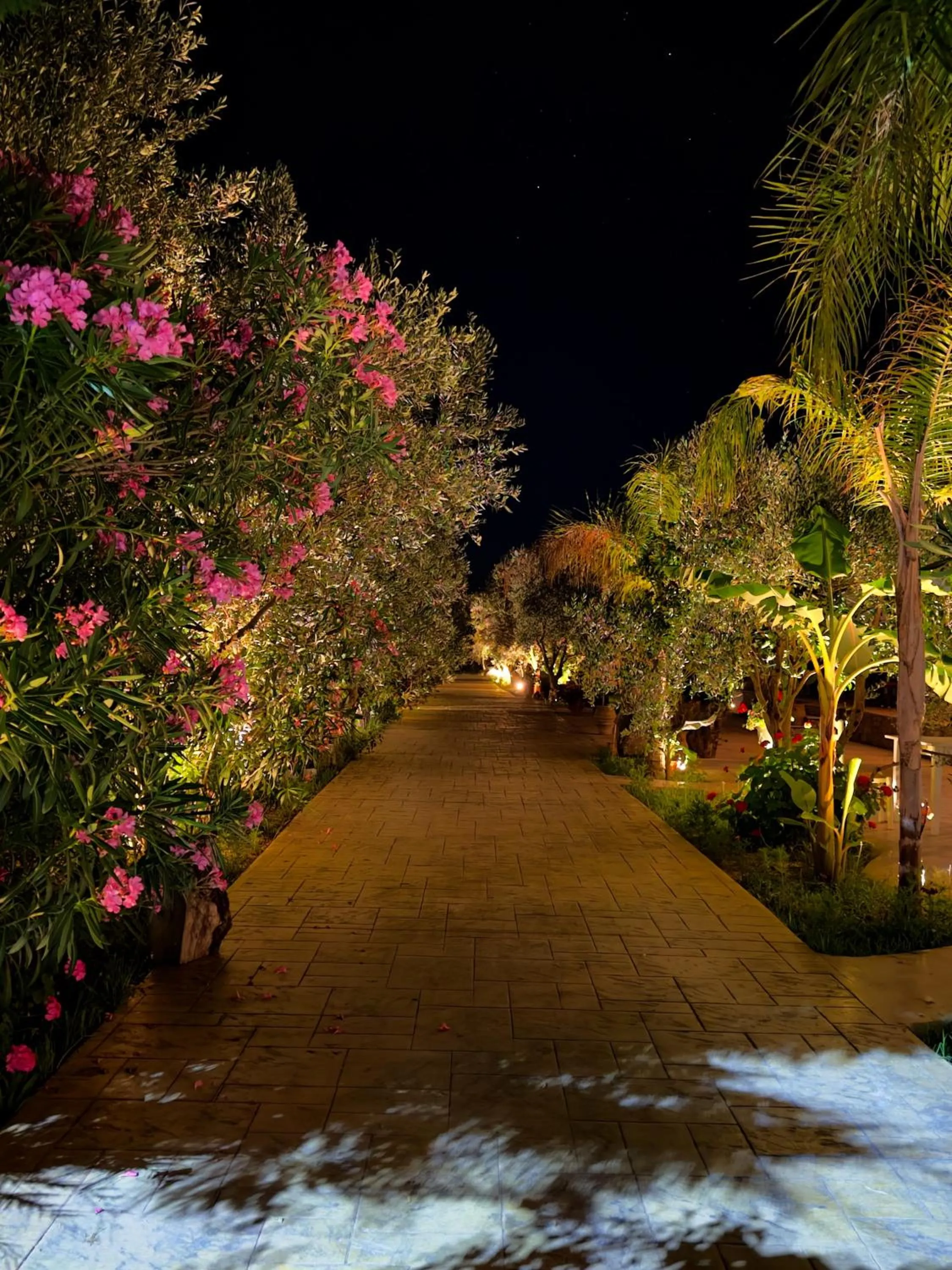 Garden view in Rida Village Ksamil Island