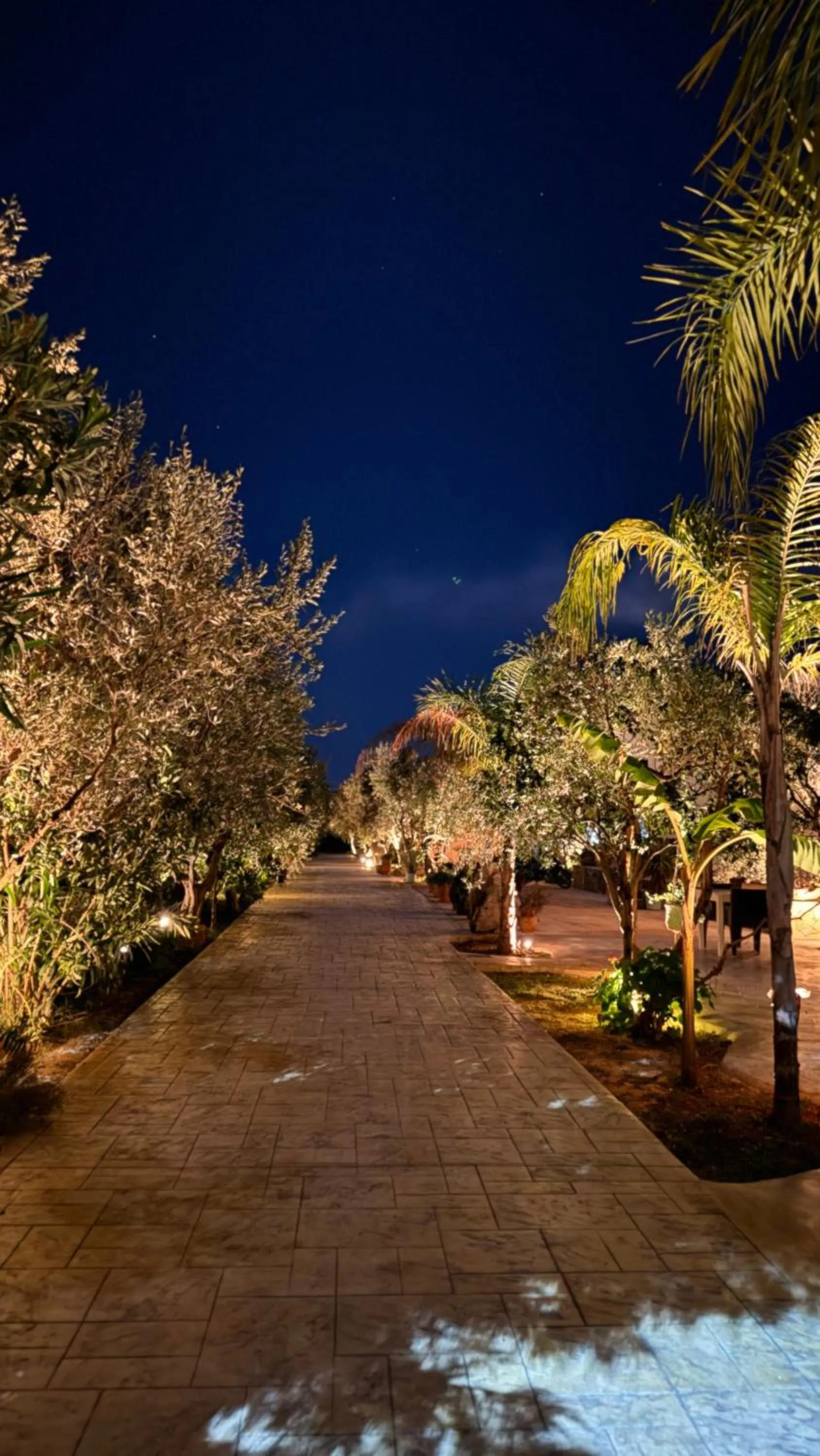 Garden in Rida Village Ksamil Island