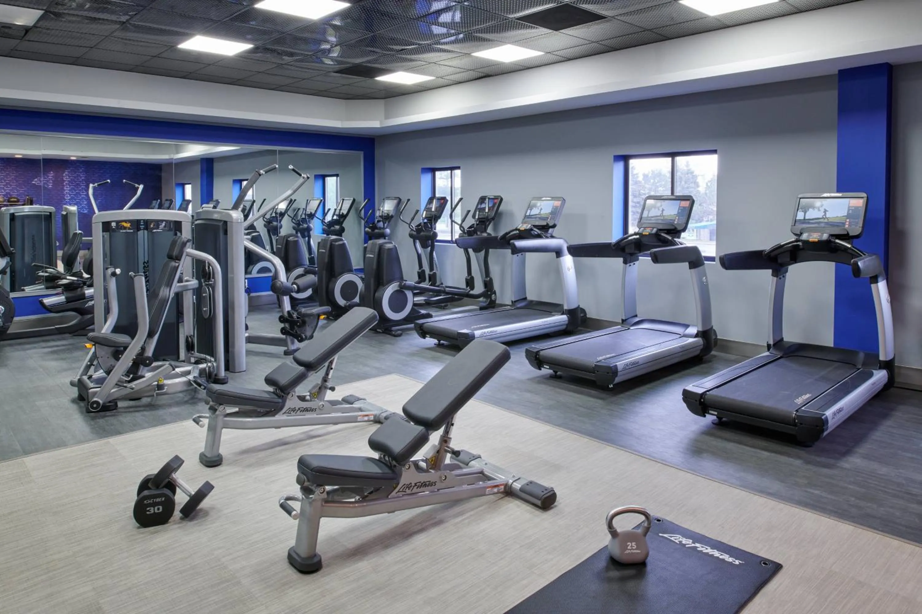 Fitness centre/facilities in Delta Hotels by Marriott Detroit Novi