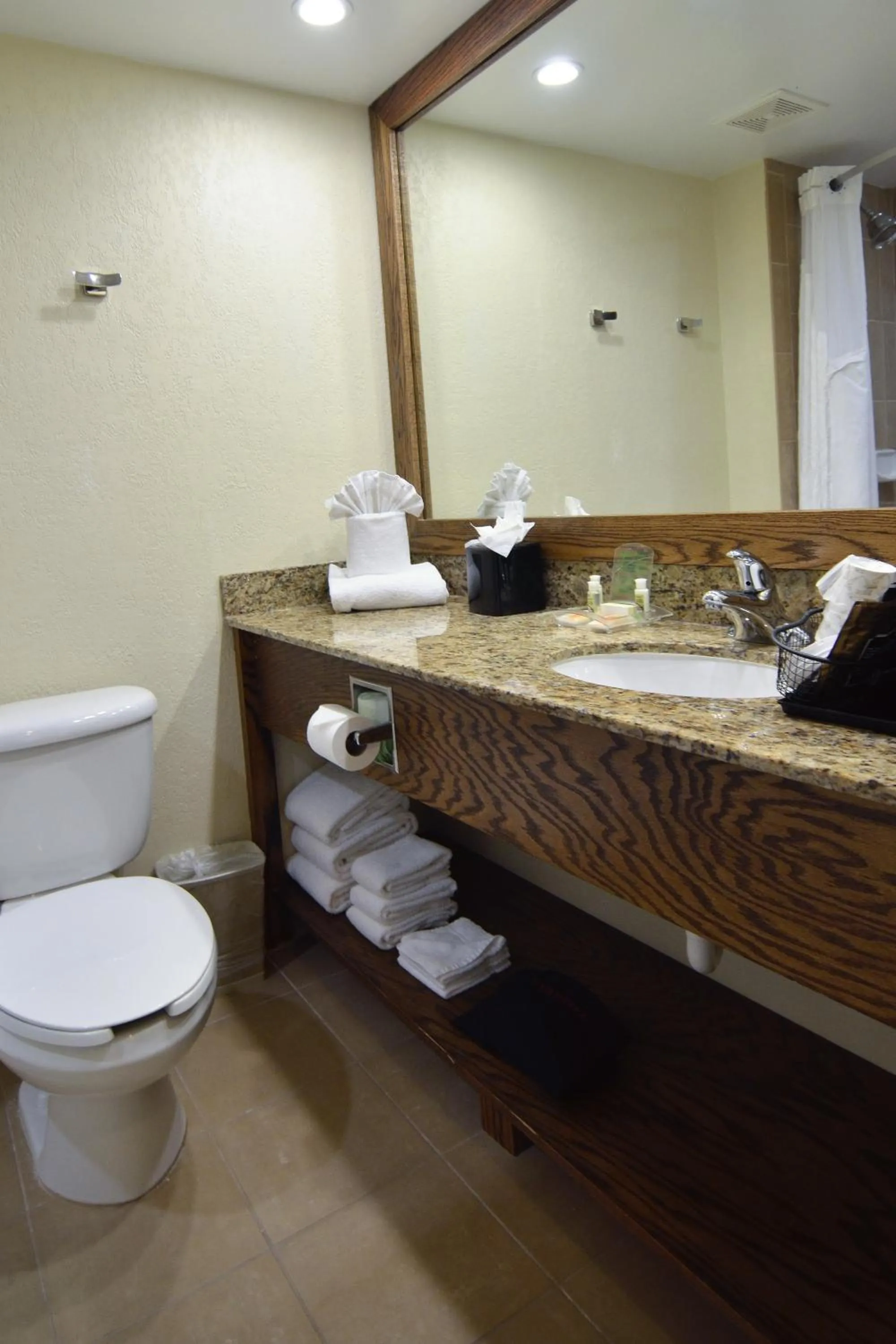 Bathroom in Holiday Inn - Fort Myers - Downtown Area by IHG