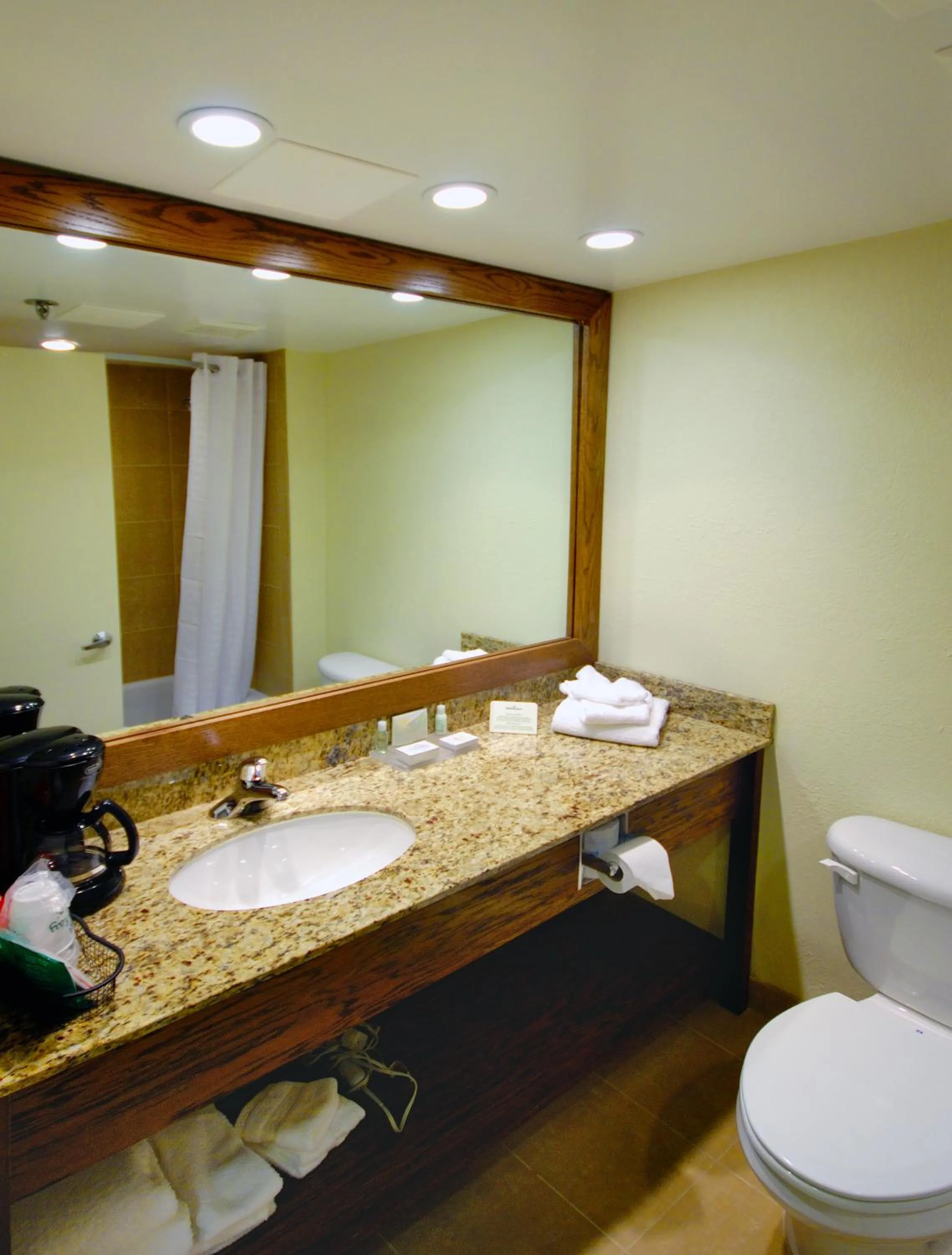 Bathroom in Holiday Inn - Fort Myers - Downtown Area by IHG