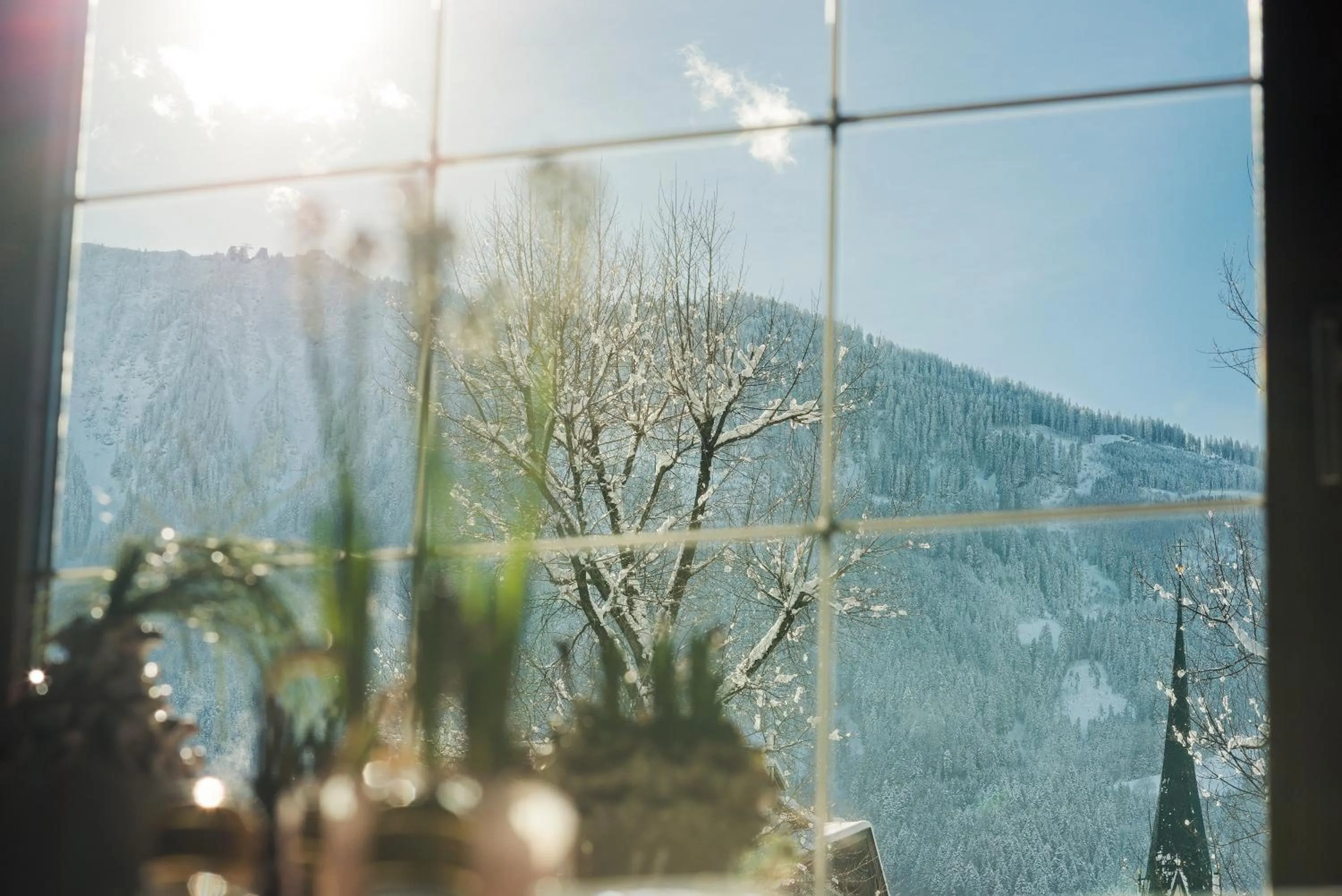 Day in Hotel Alpenhof Kristall