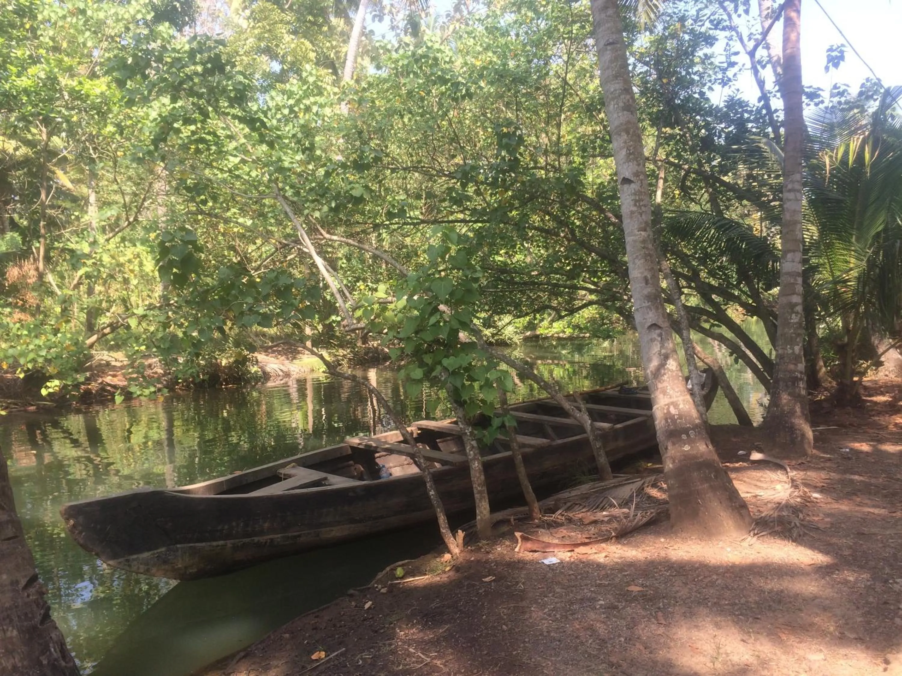 Natural landscape in Mad about Coco Yoga & Beach Retreat