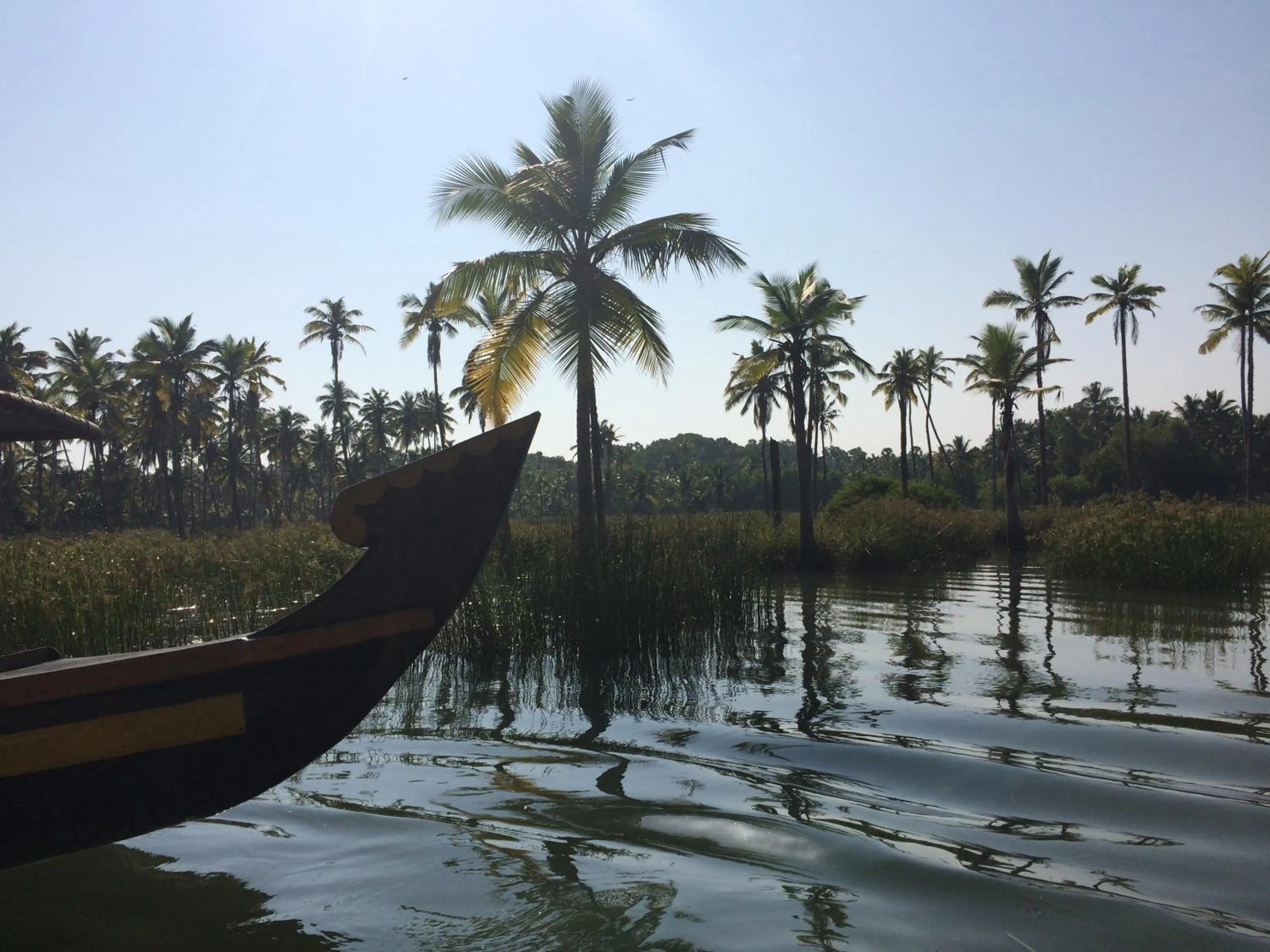 Natural landscape in Mad about Coco Yoga & Beach Retreat