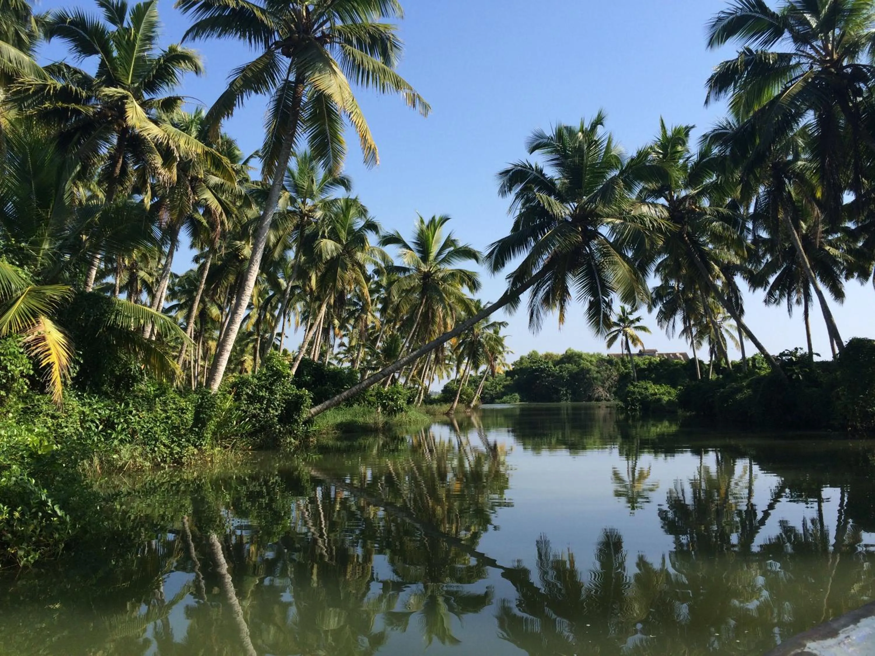 Natural landscape in Mad about Coco Yoga & Beach Retreat