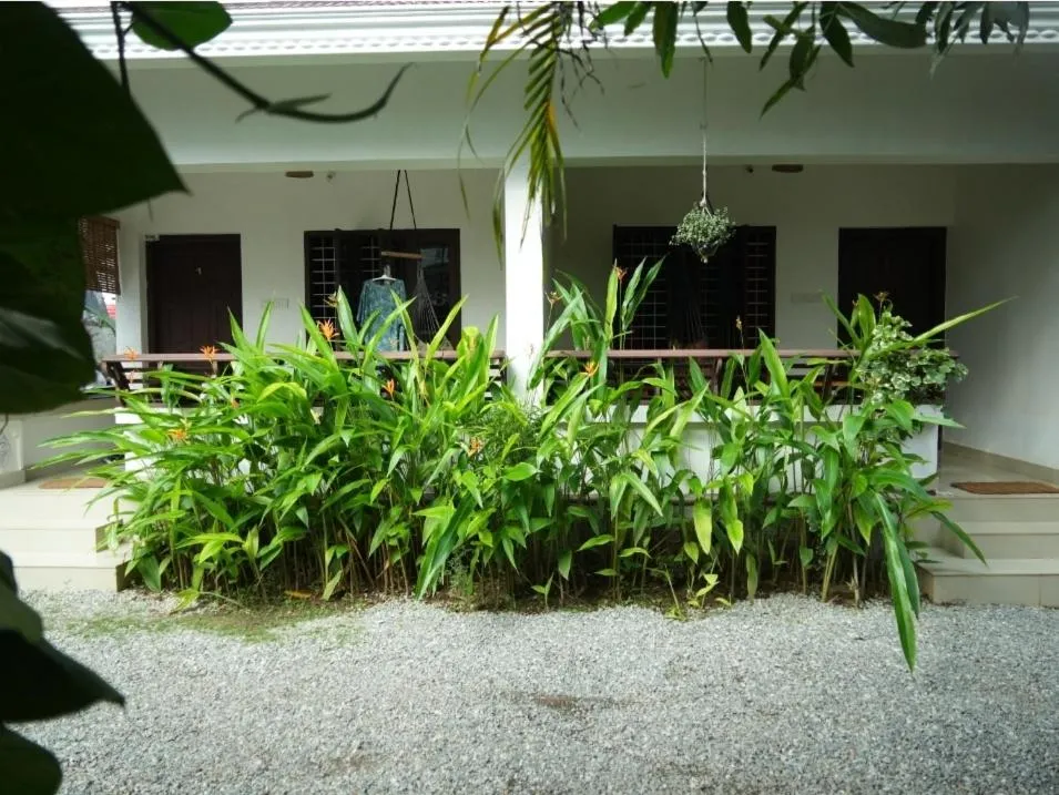 Mad about Coco Yoga & Beach Retreat