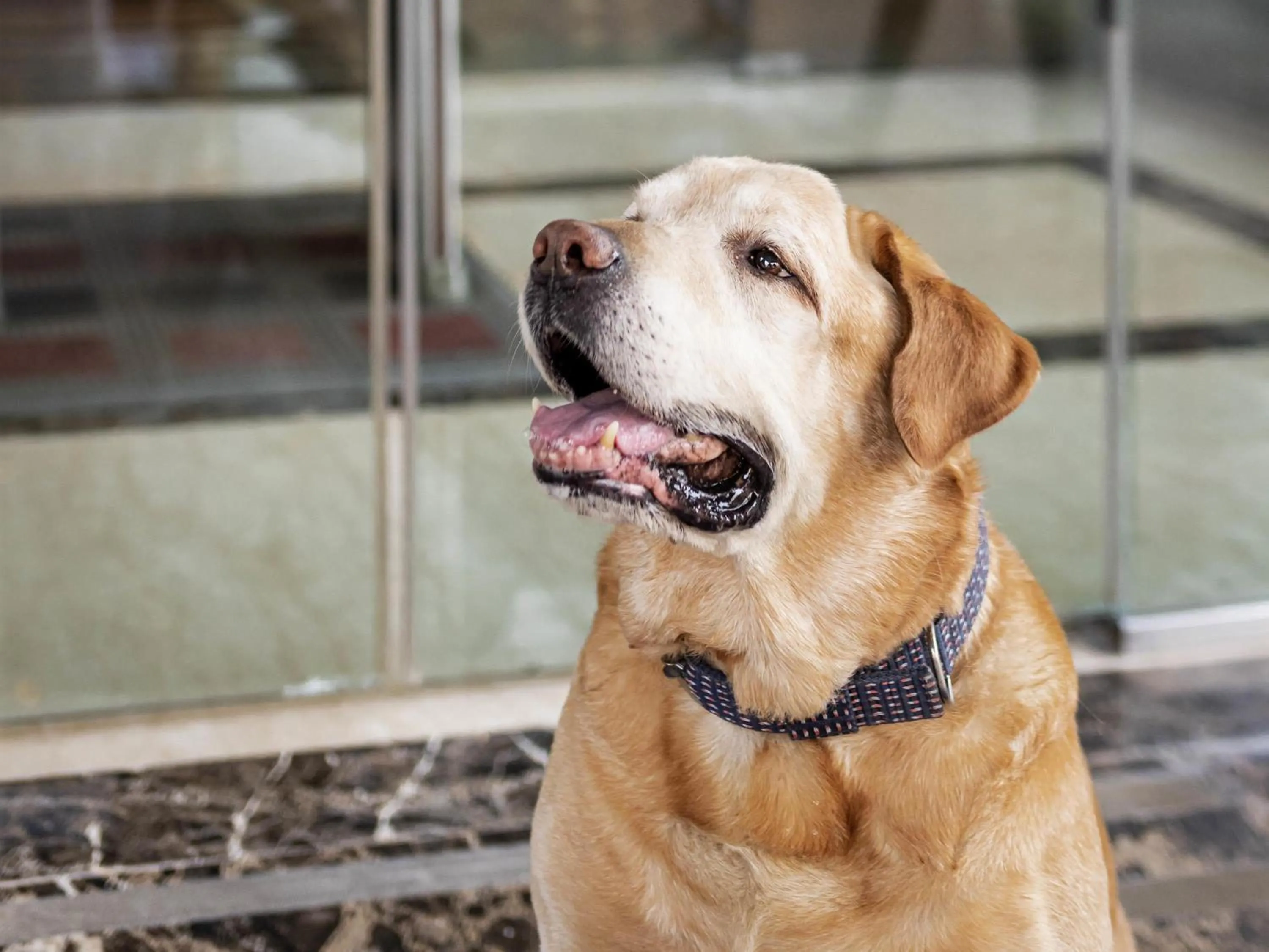 Other in ibis Kochi City Centre - An Accor Brand