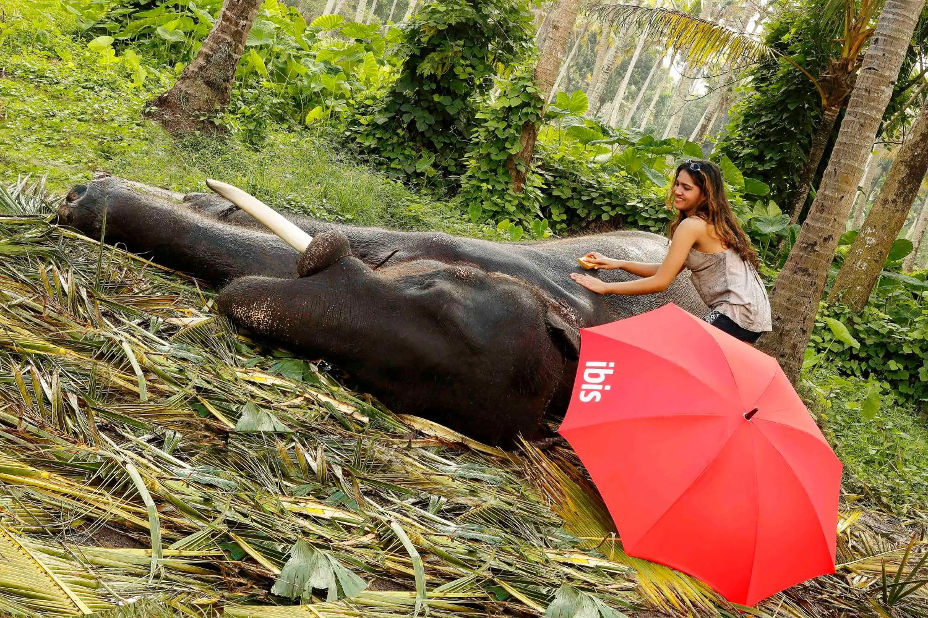 People in ibis Kochi City Centre - An Accor Brand