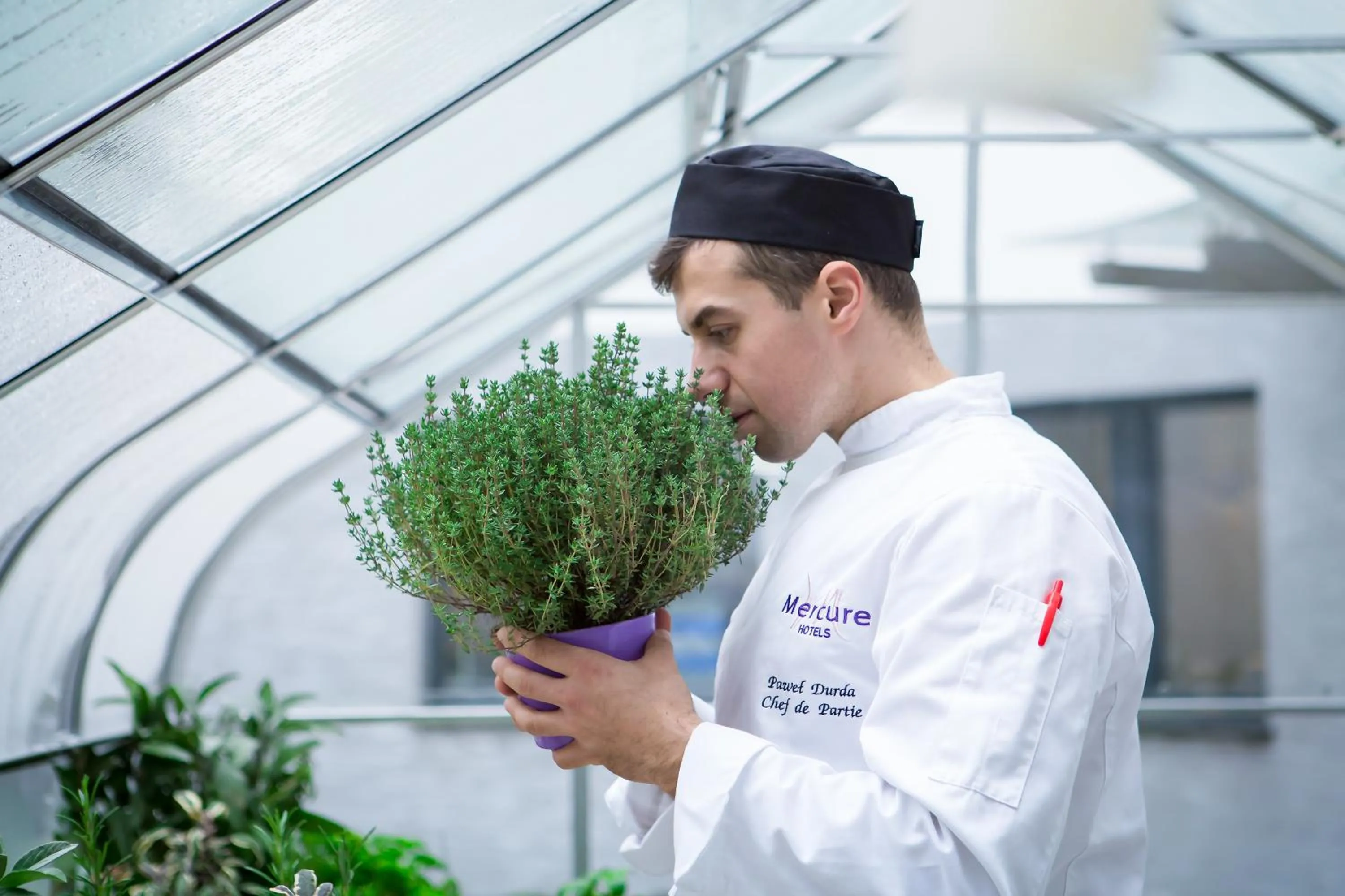 Area and facilities in Mercure Krakow Stare Miasto