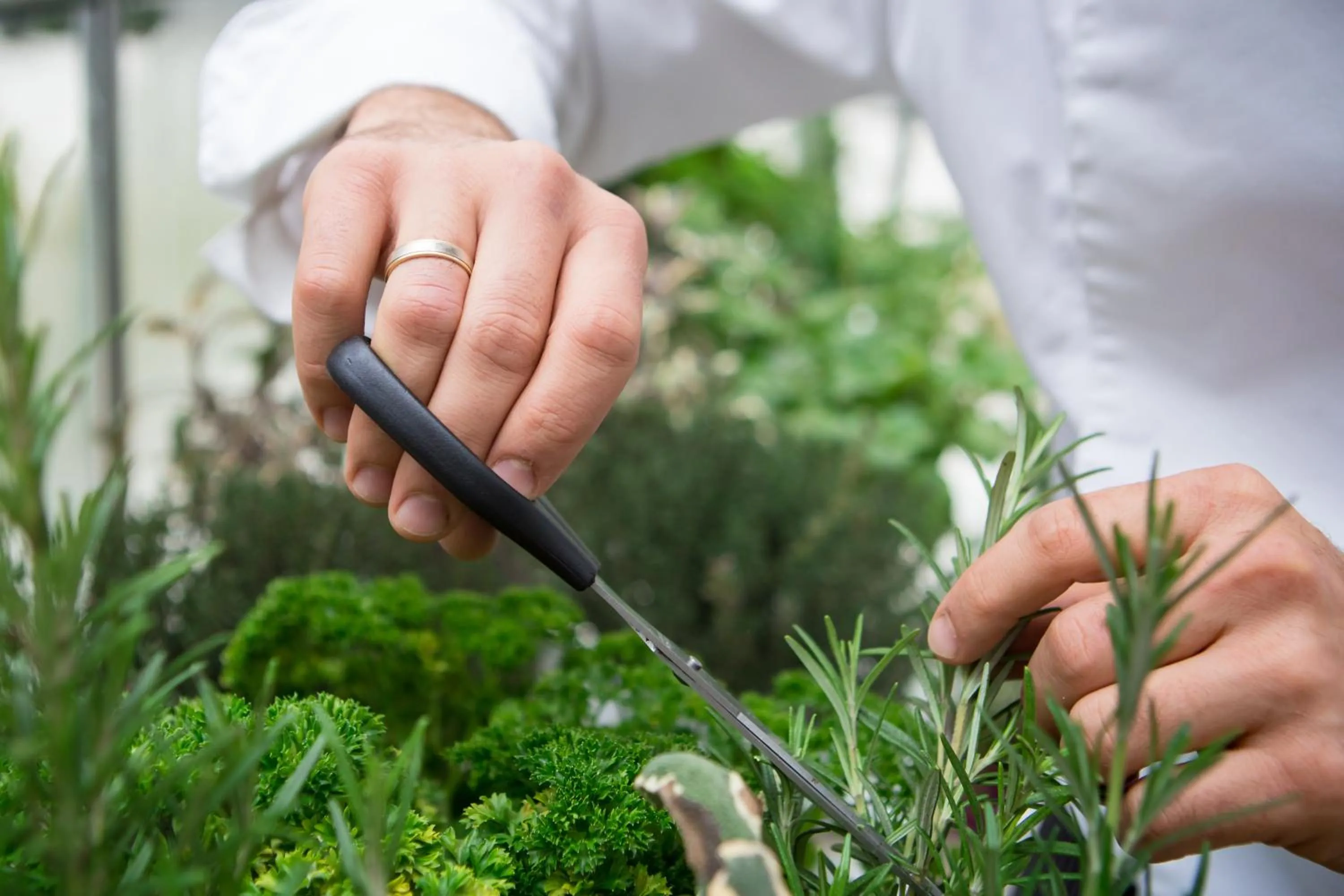 Area and facilities in Mercure Krakow Stare Miasto