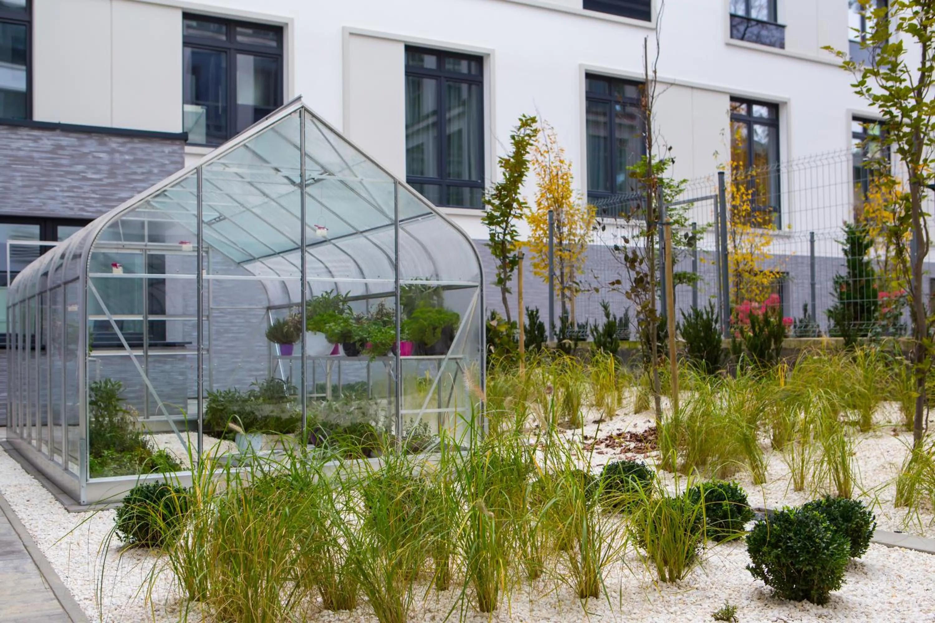 Area and facilities in Mercure Krakow Stare Miasto