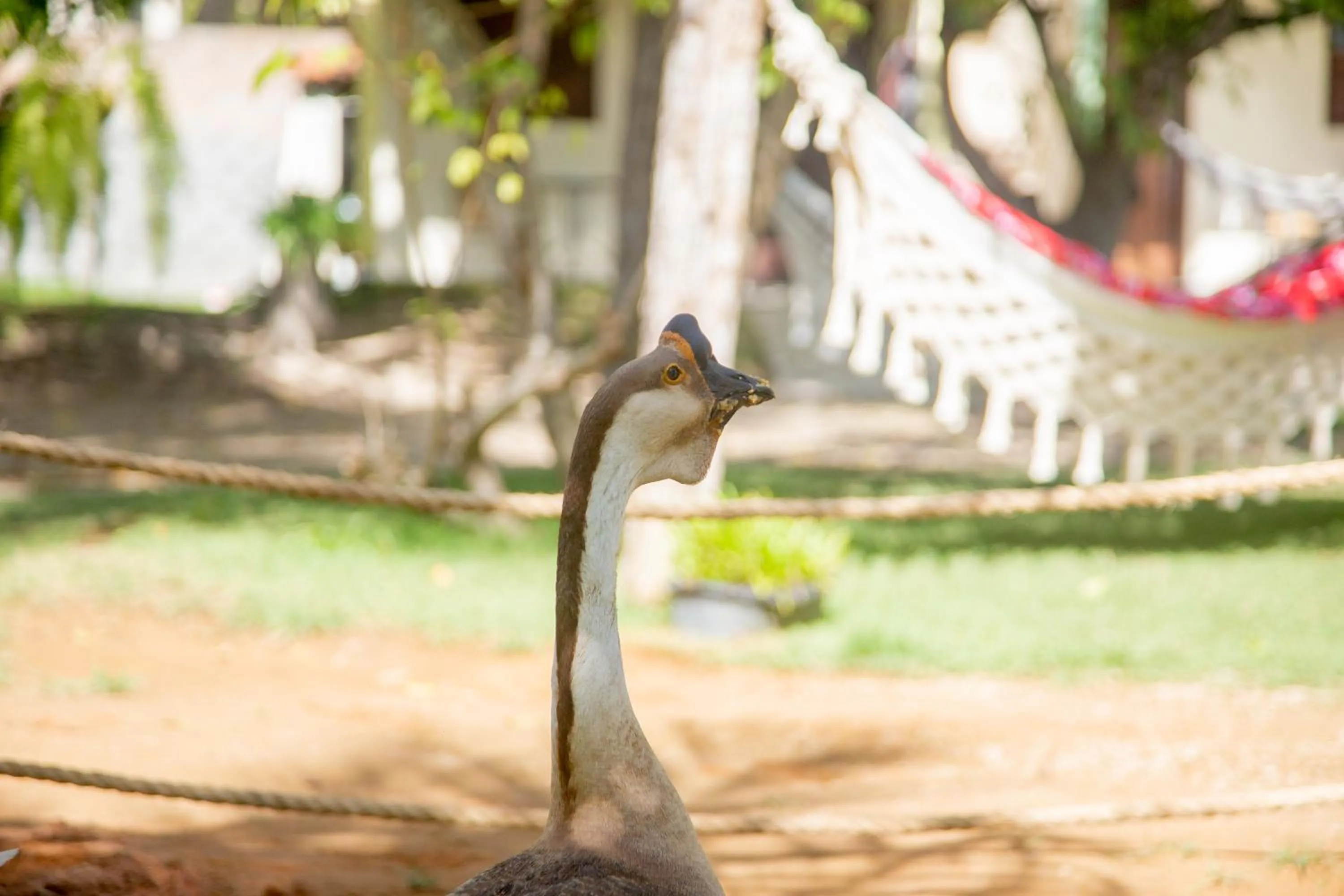 Recanto Caiçara Pousada