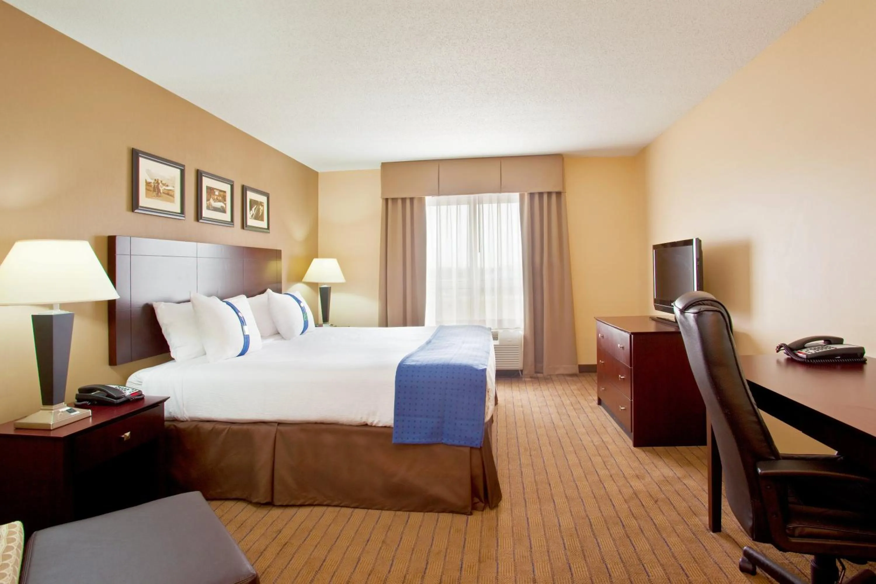 Photo of the whole room, Bed in Holiday Inn Aurora North - Naperville by IHG