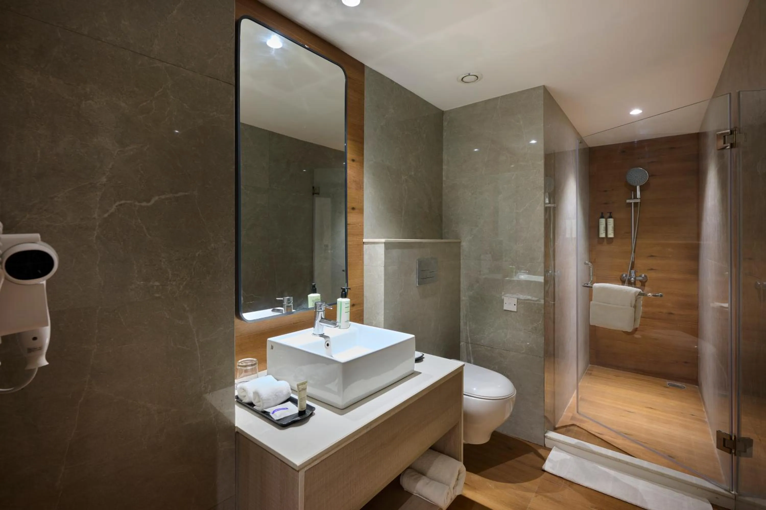 Bathroom in Delite Sarovar Portico Faridabad